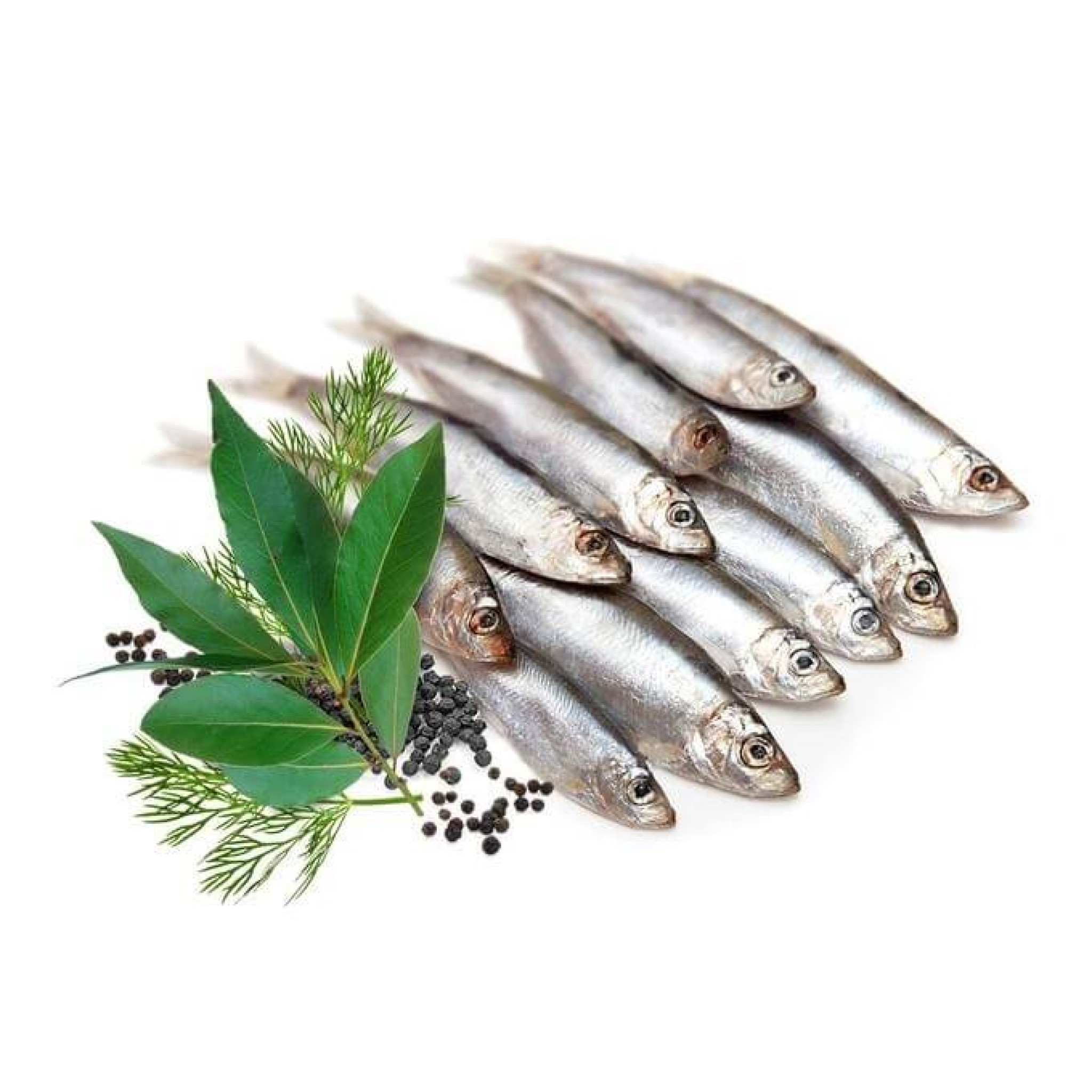 Fish prodact Premium Kilka maloslana v kořeněném nálevu (I), 5l/3kg