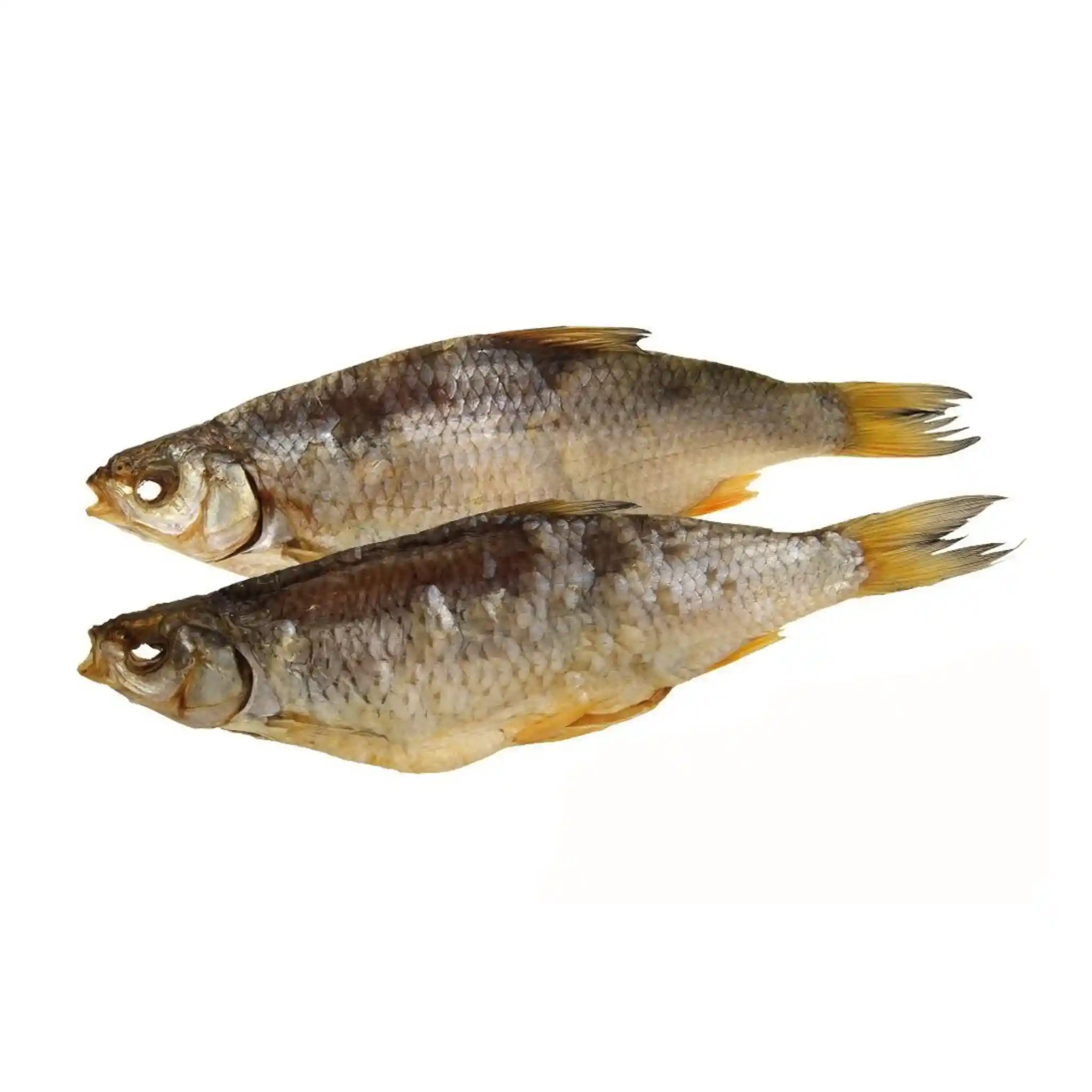 Lemberg Plotice Wobla nekuchaná sušená, 4kg