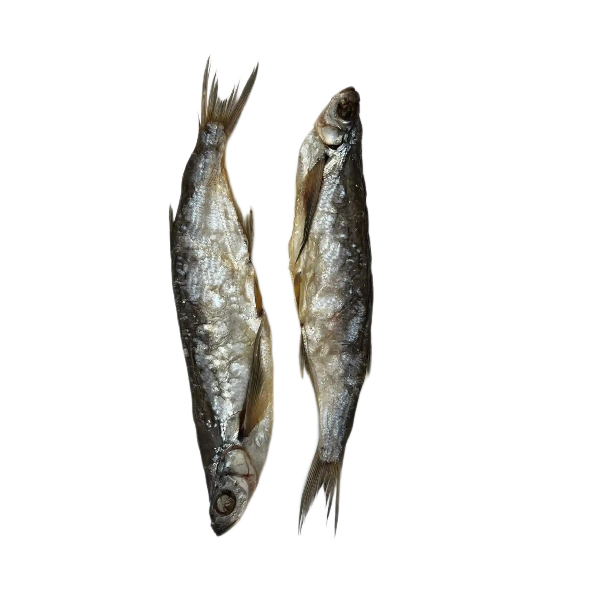 Lemberg Ostrucha křivočará (Čechon) nekuchaná, sušená, 4kg