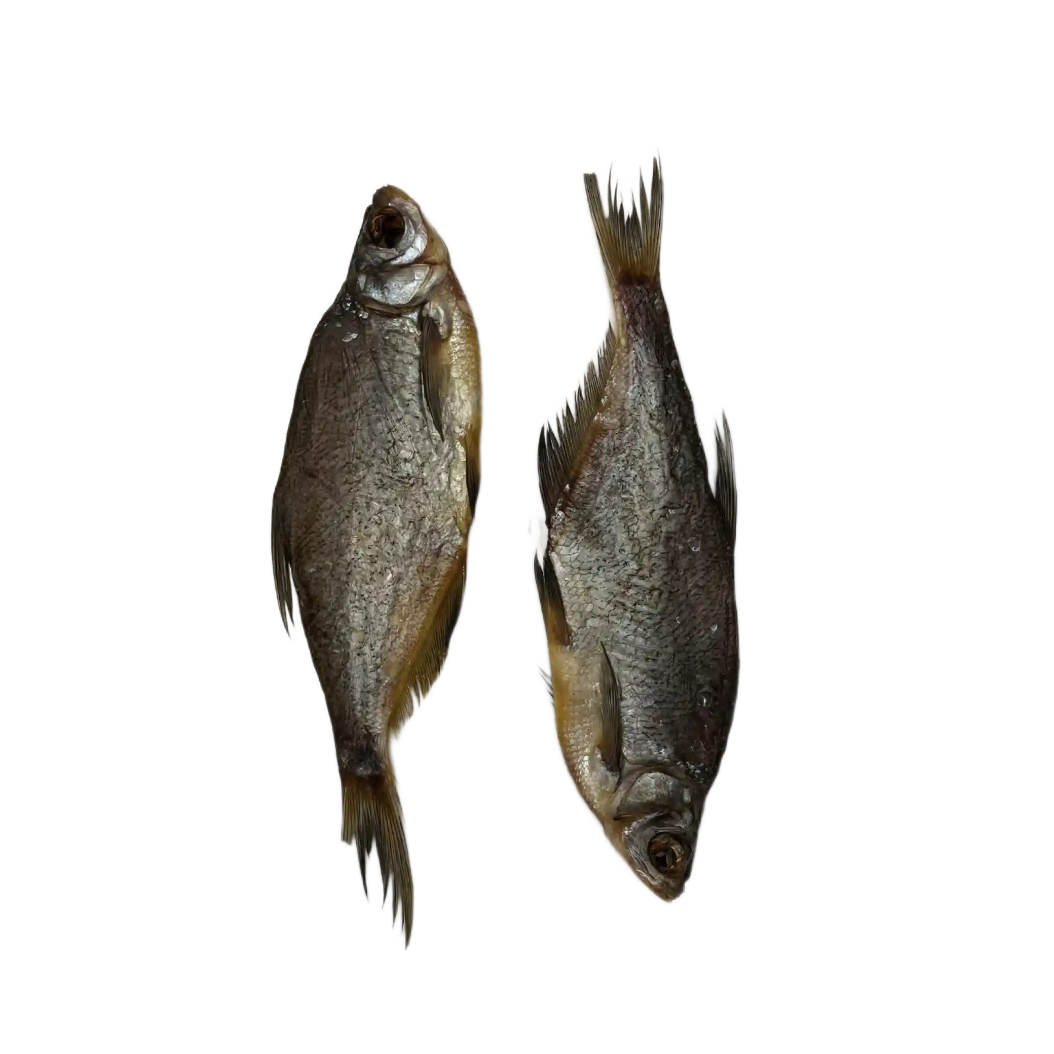 Lemberg Sinec (ballerus ballerus), nekuchaný, sušený, 4kg