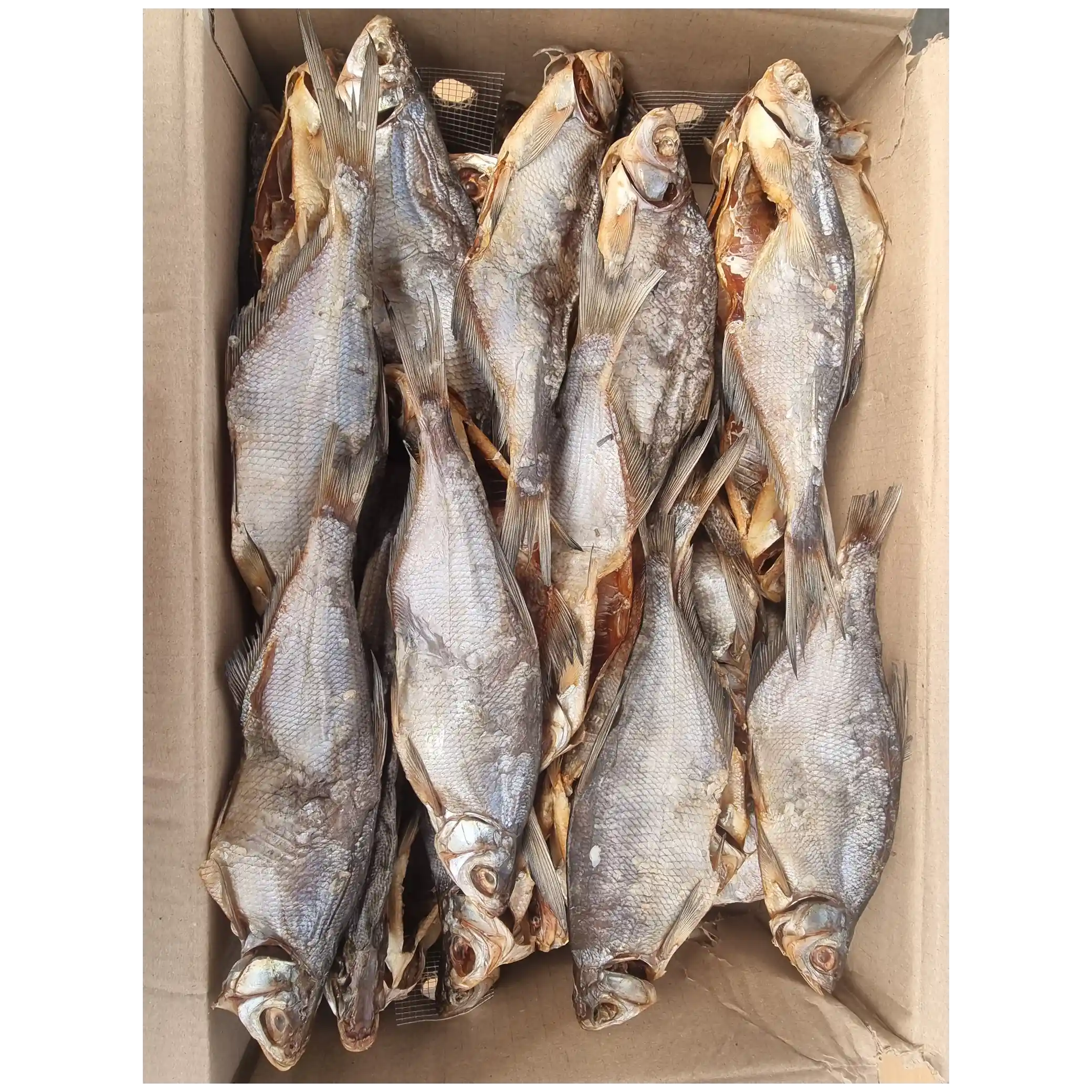 Tamako Sinec (ballerus ballerus) sušený, 3 kg