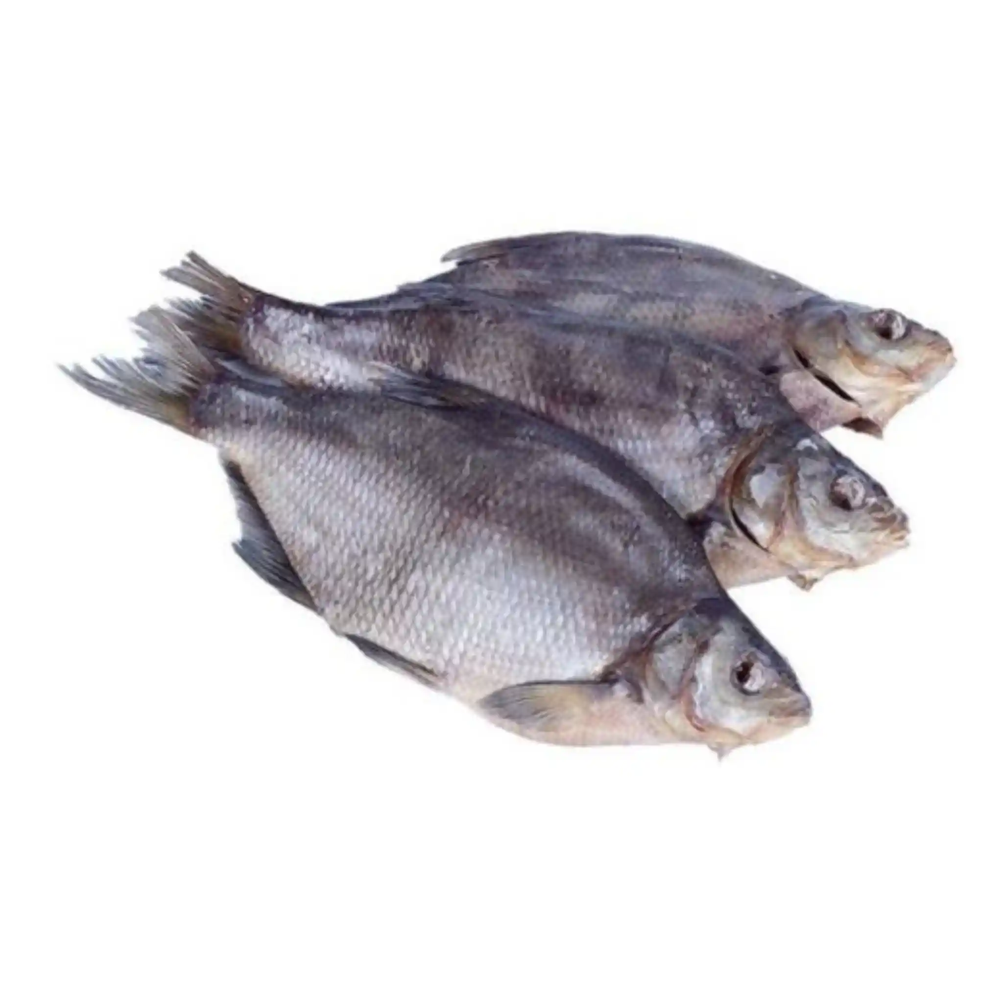 Ryba Cejn velký nekuchaný sušený (N), 3,5 kg