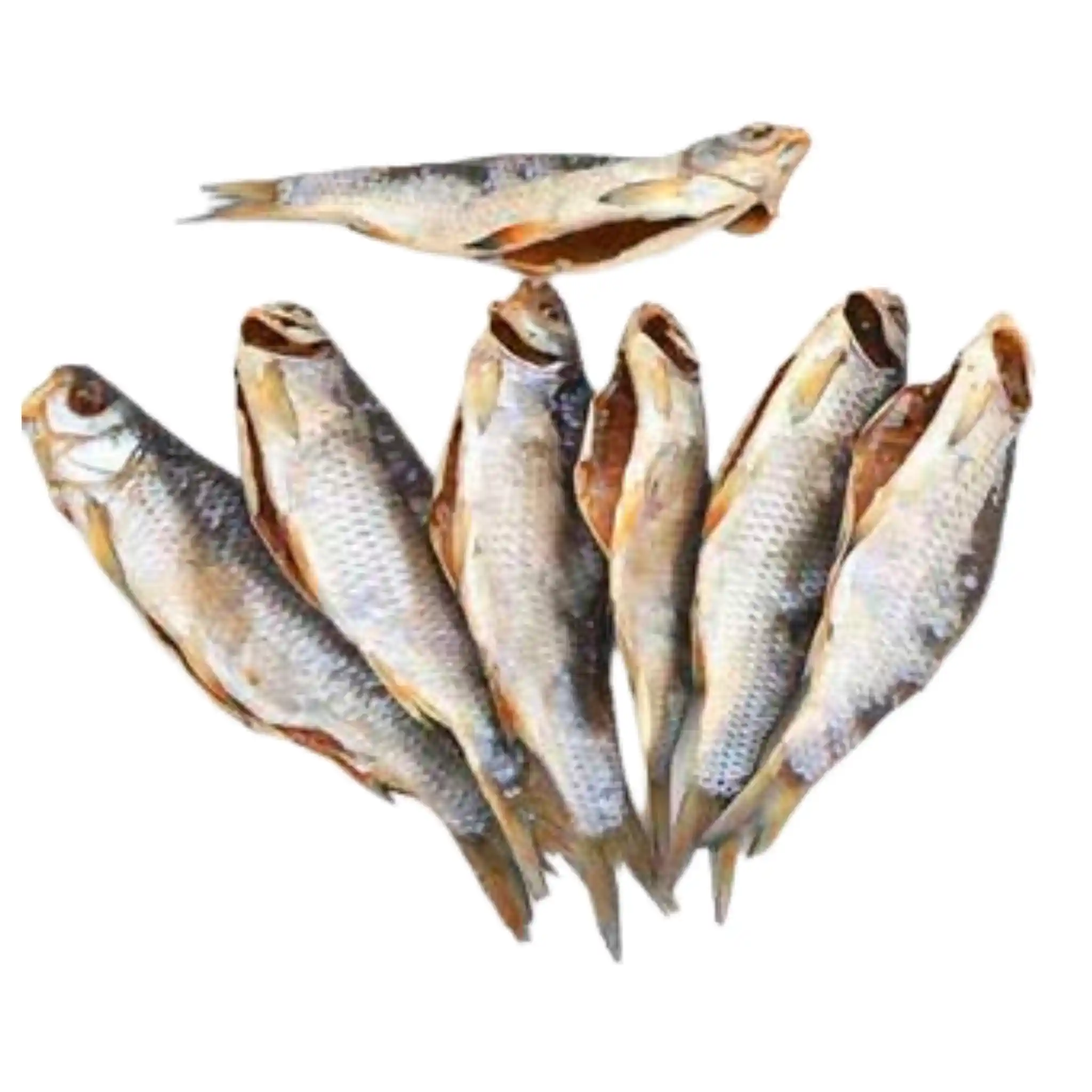 Ryba Plotice kuchaná sušená (N), 4kg