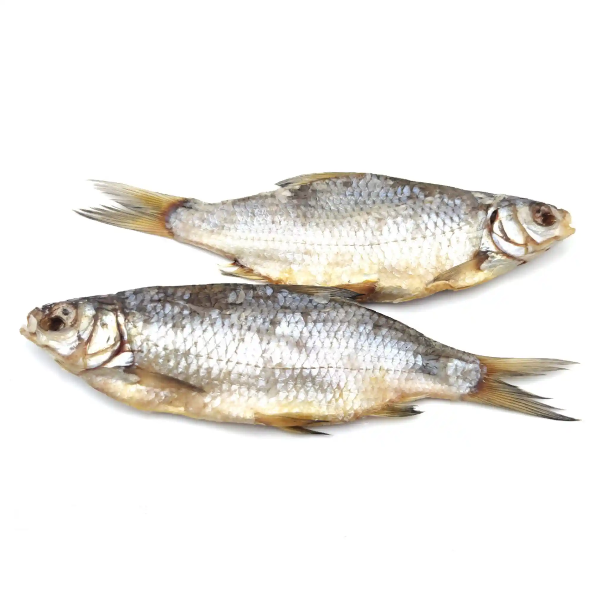 Ryba Plotice velká nekuchaná sušená (N), 4kg