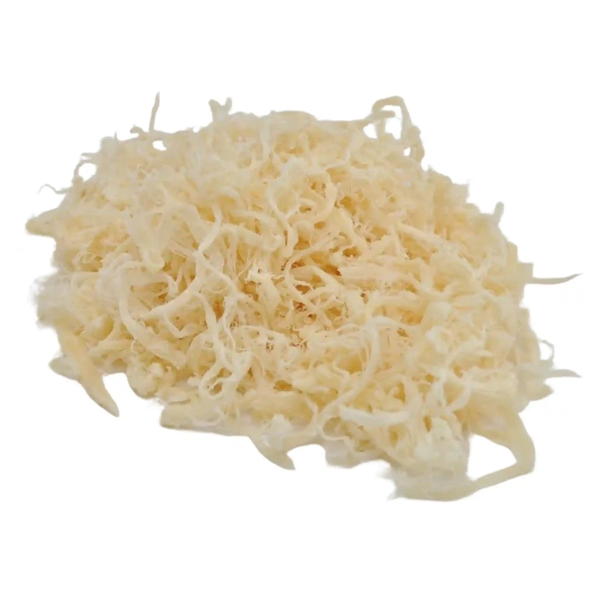 Dried Kalmary sušené hobliny (R), 1 kg