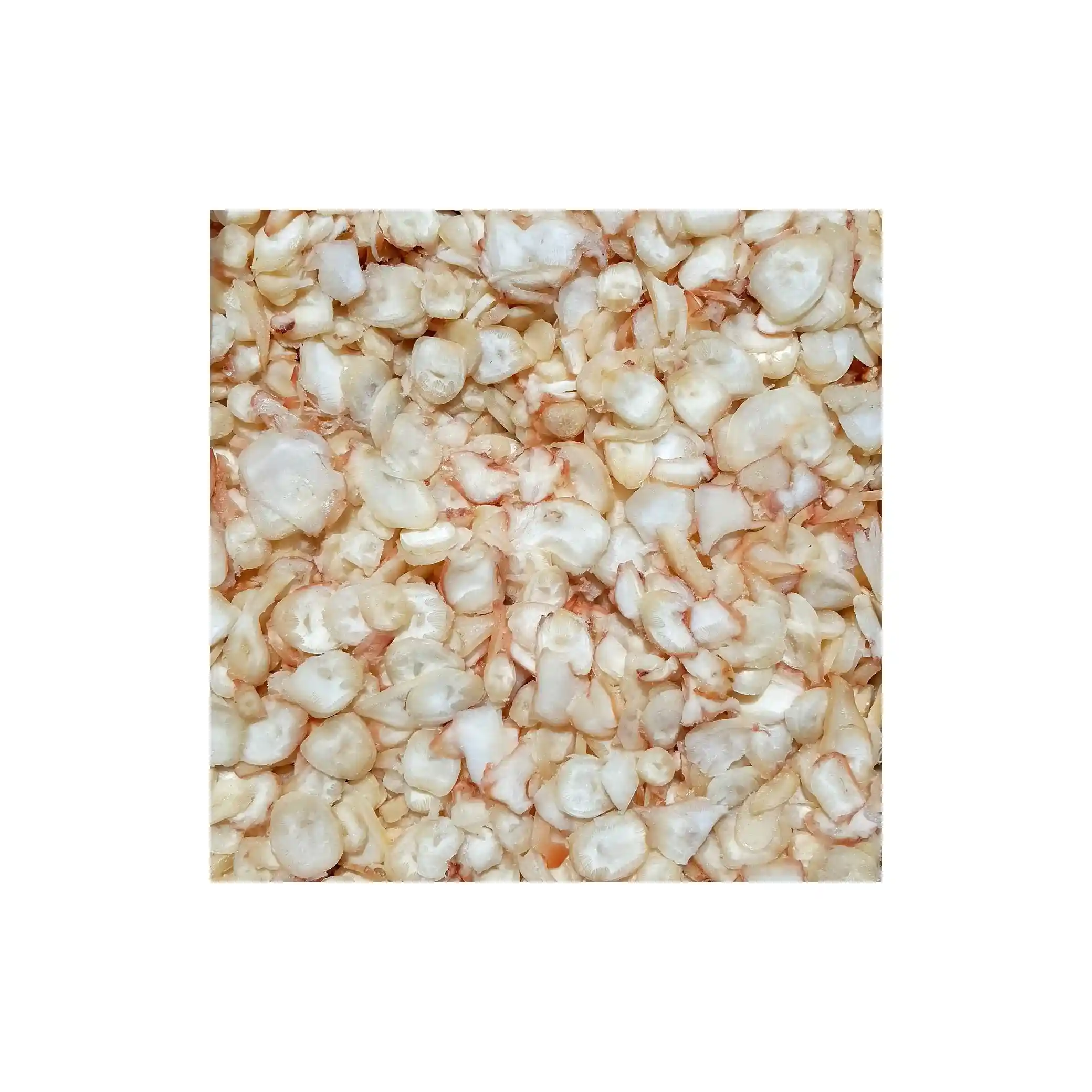 Global Kalmary sušené „Chobotnicové kroužky“, 1 kg