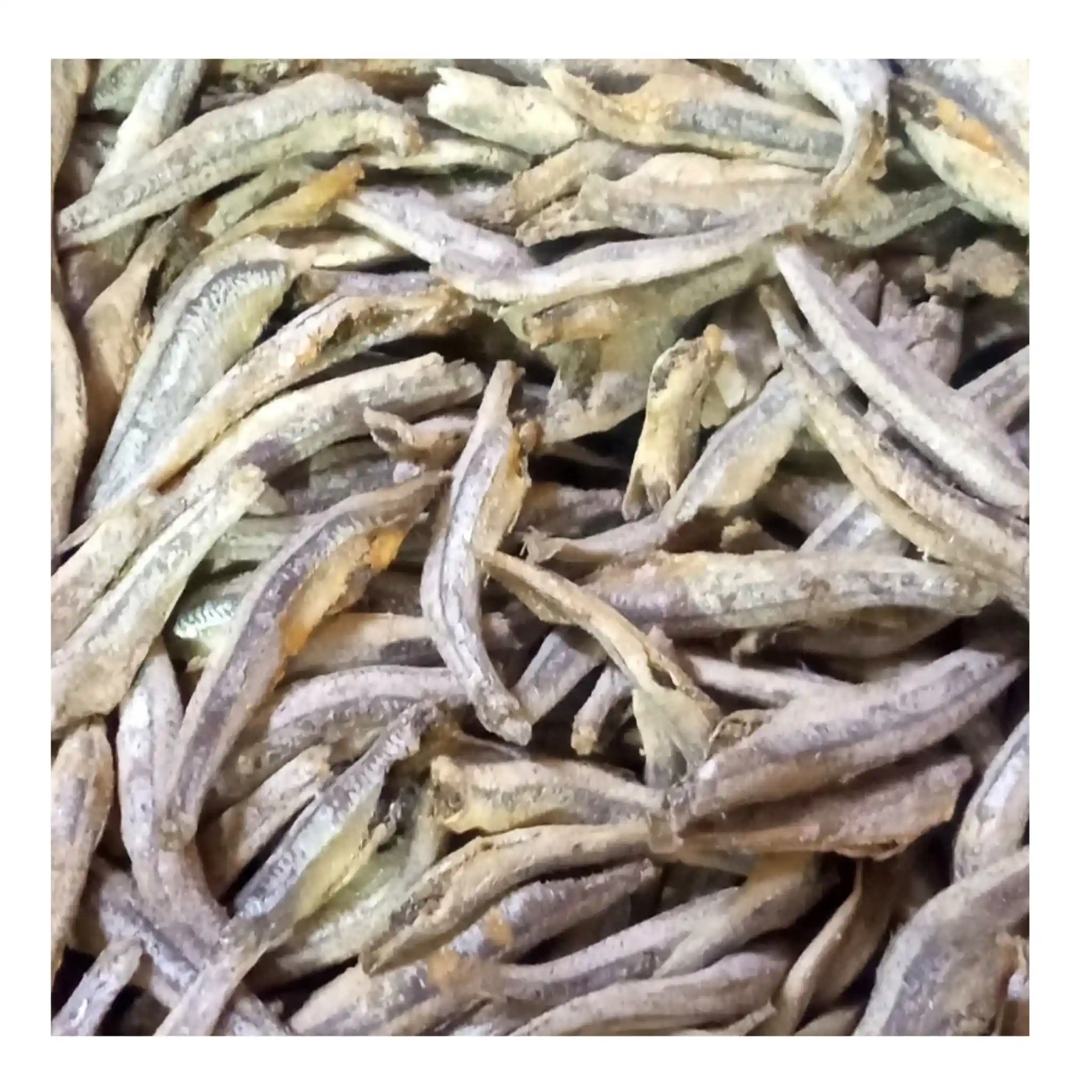 Ančovičky suché (R), 1kg / 10kg balení