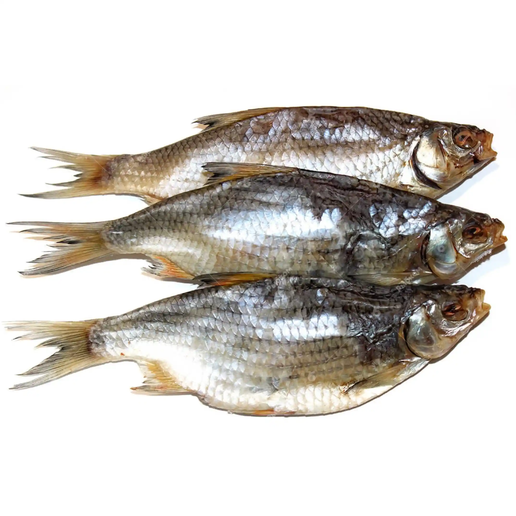 Shop Plotice sušená nekuchaná, 1kg/3 kg