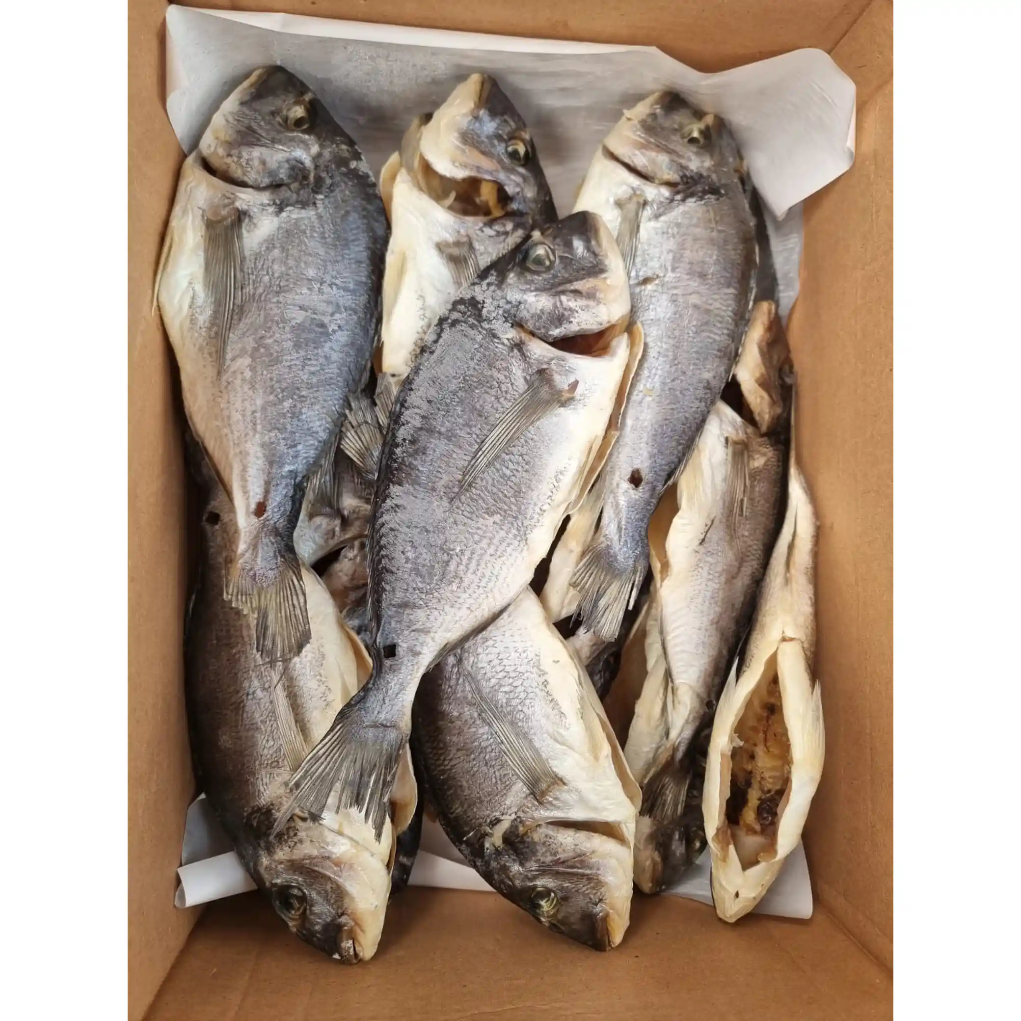 Shop Pražma (dorada) sušená, 4 kg
