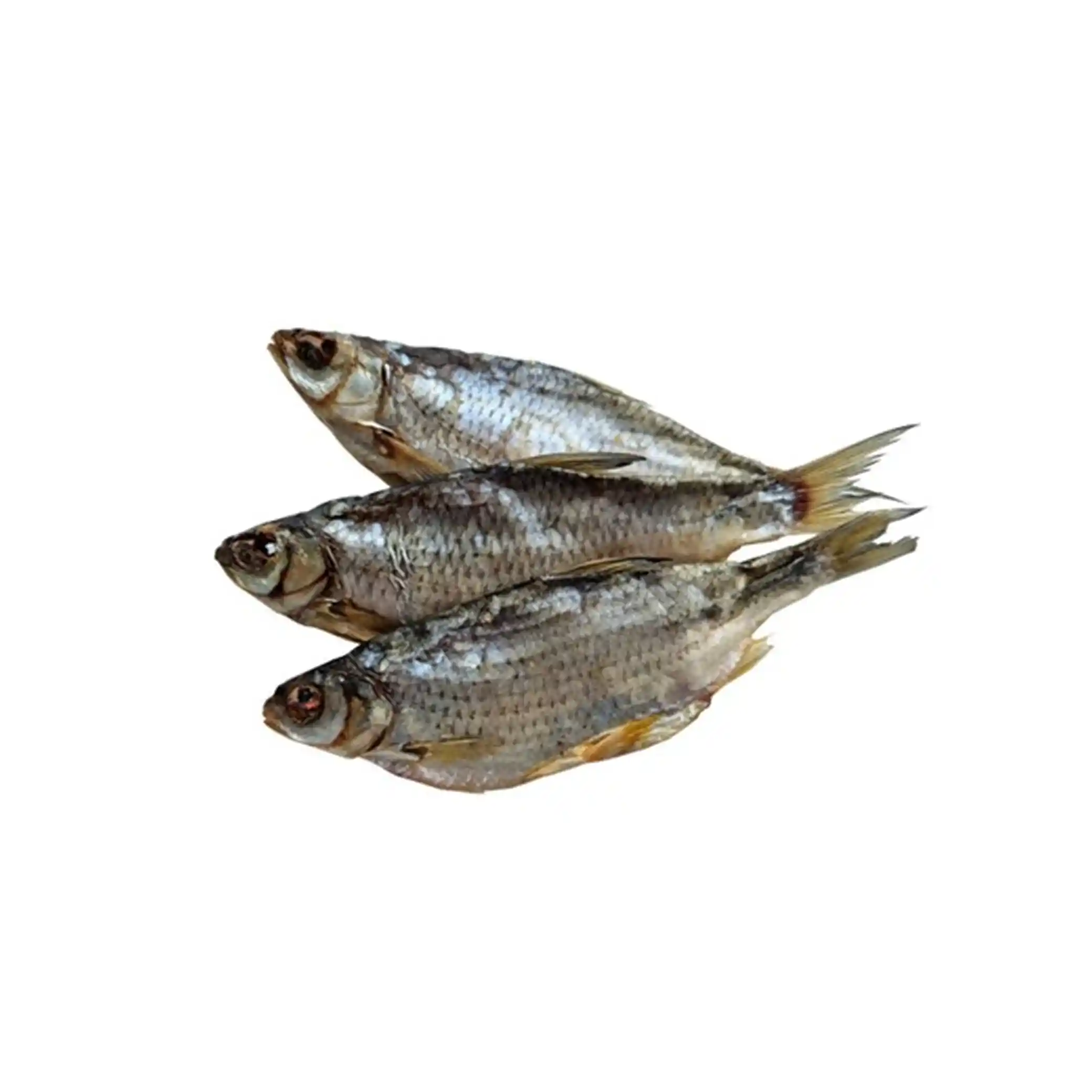 Vobla solená–sušená, nevykuchaná, 17–20 cm, 1/5 kg