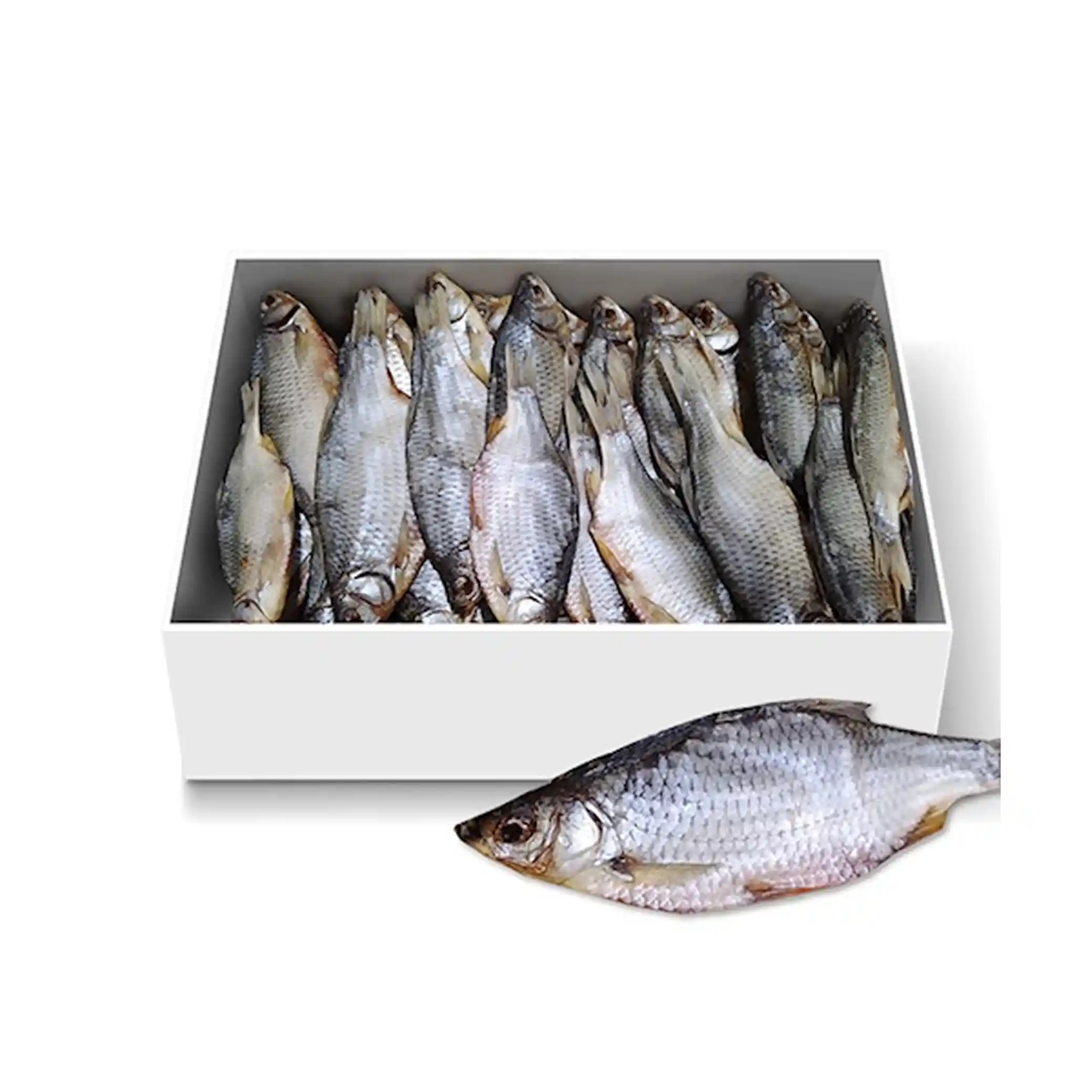 Plotice sušená, 15–25 cm, 1/10 kg