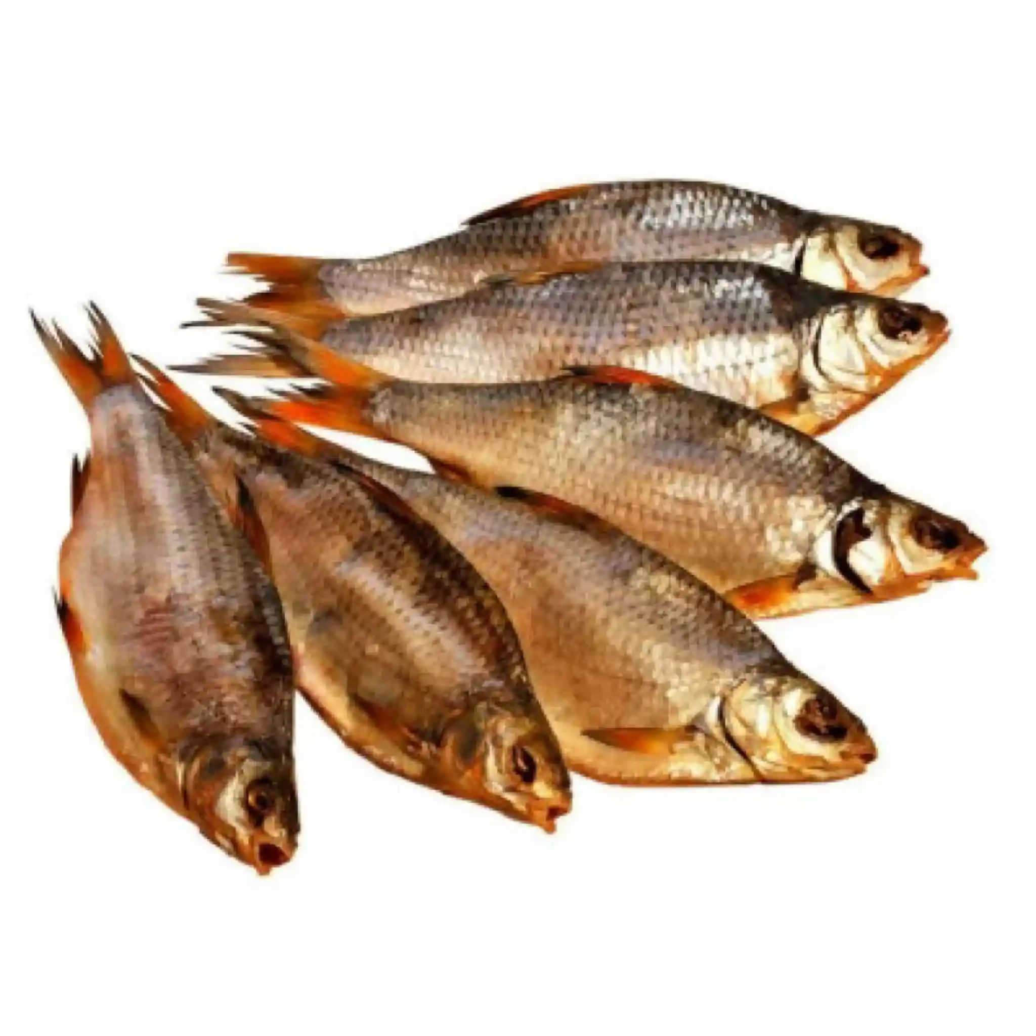 Krasnoperka nekuchaná solená sušená (S), 5 kg