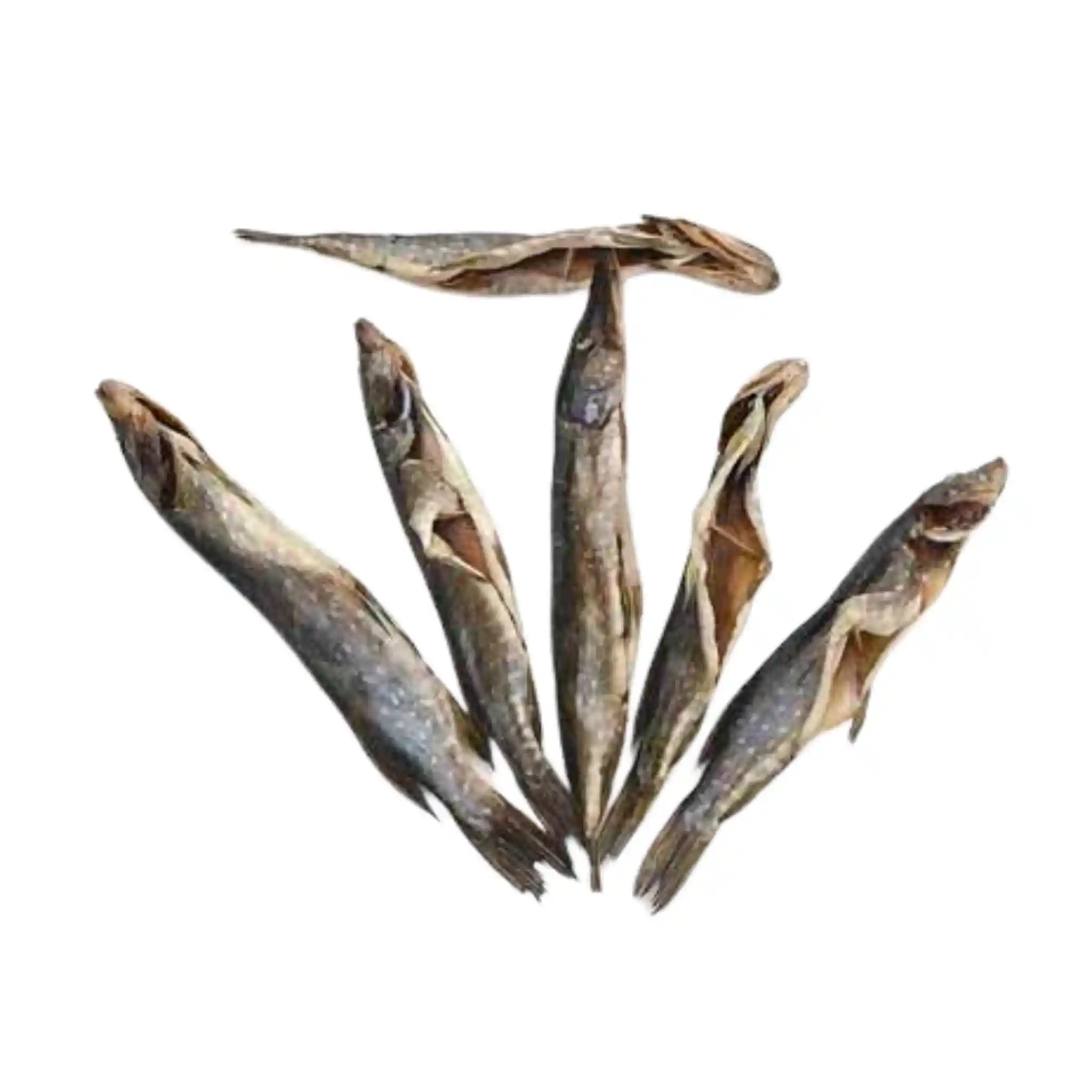 Tamako Štika sušená a vykuchaná 100-300 g, 3kg