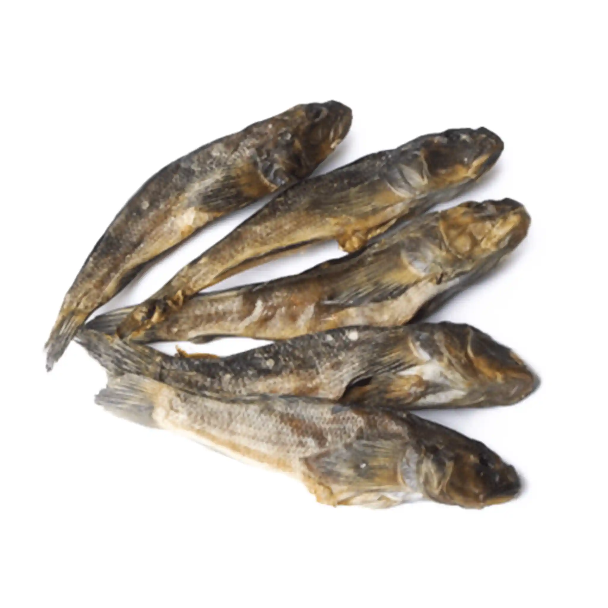 Tamako Hlaváč (byčok) sušený premium, 5 kg