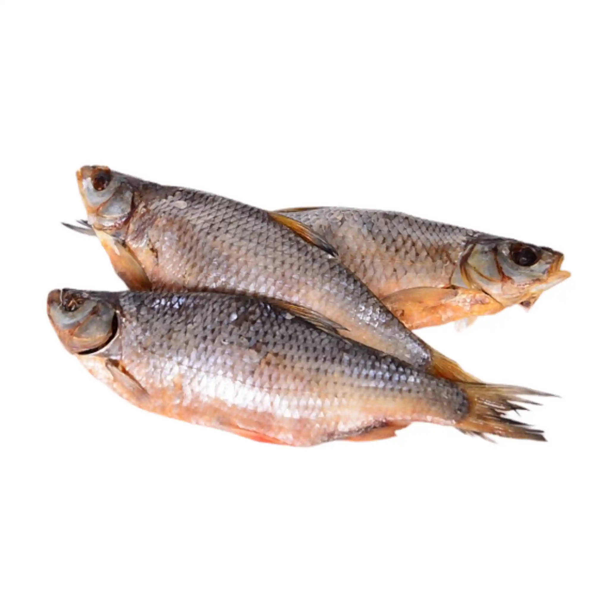 Tamako Plotice sušená, 5kg