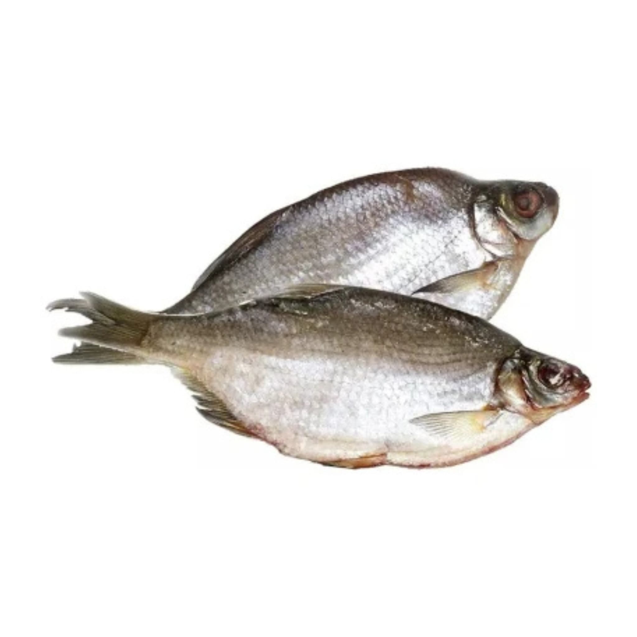 Tamako Gustera sušená, 4 kg