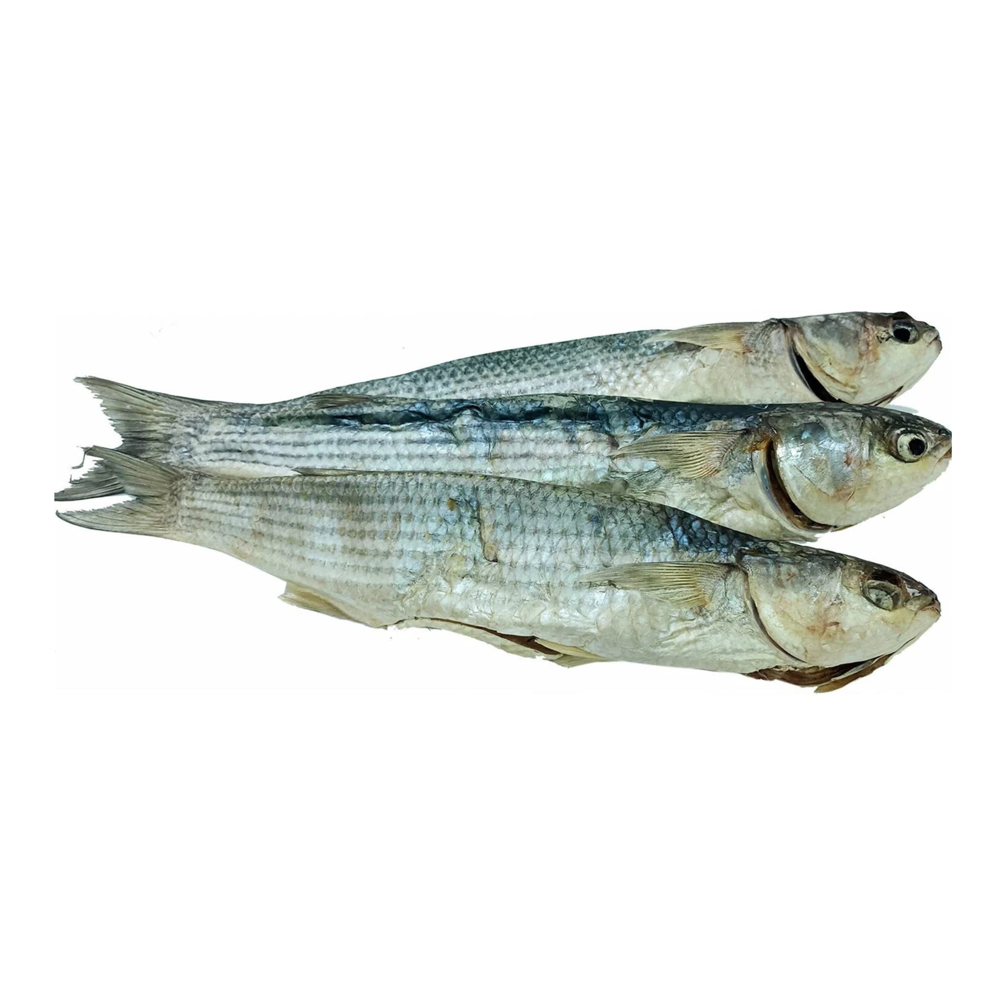 Tamako Cephalus sušený (Kefal), 5 kg