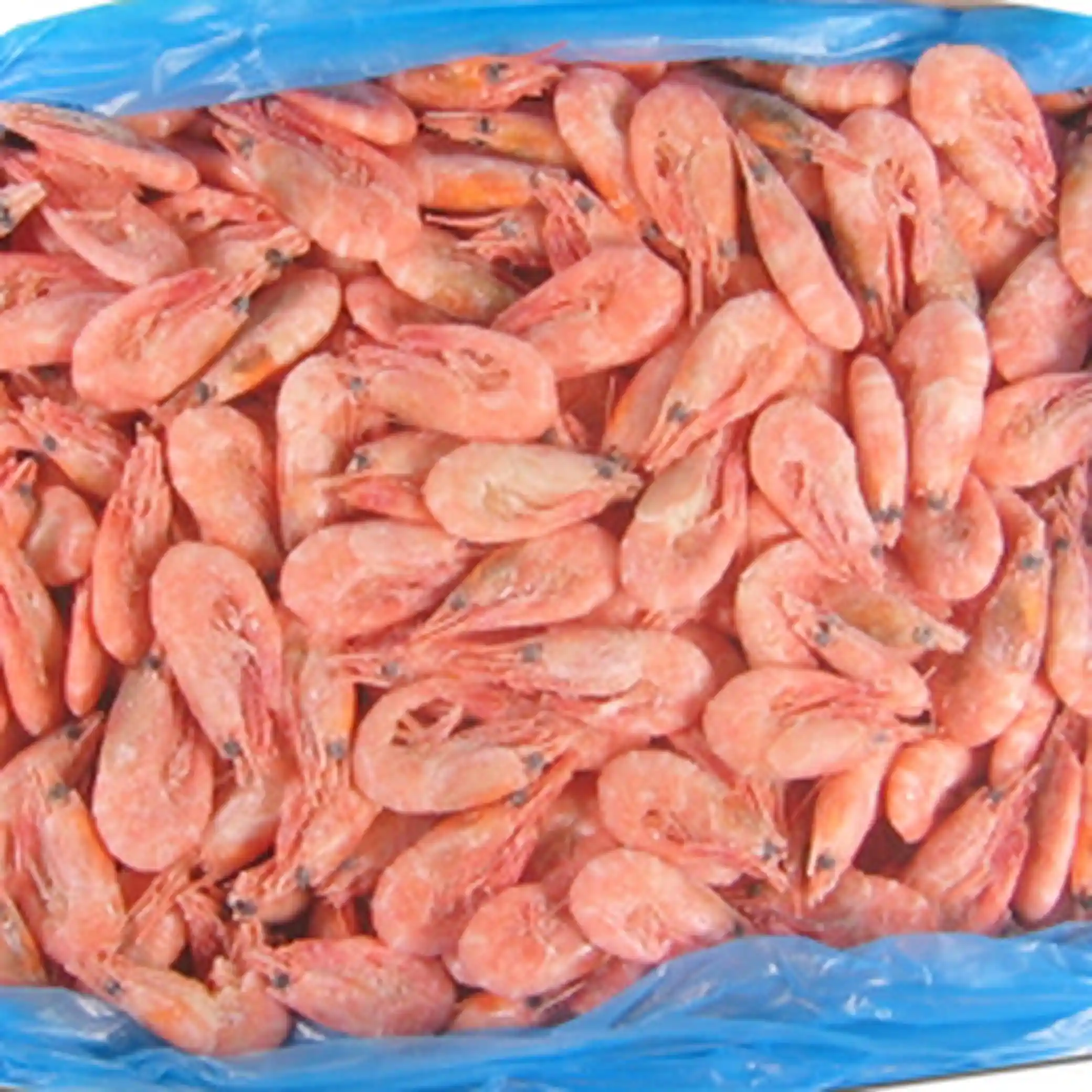 Mooijer (72) Krevety severní vařené s hlavou a krunýřem (120+), mražené 1/5kg