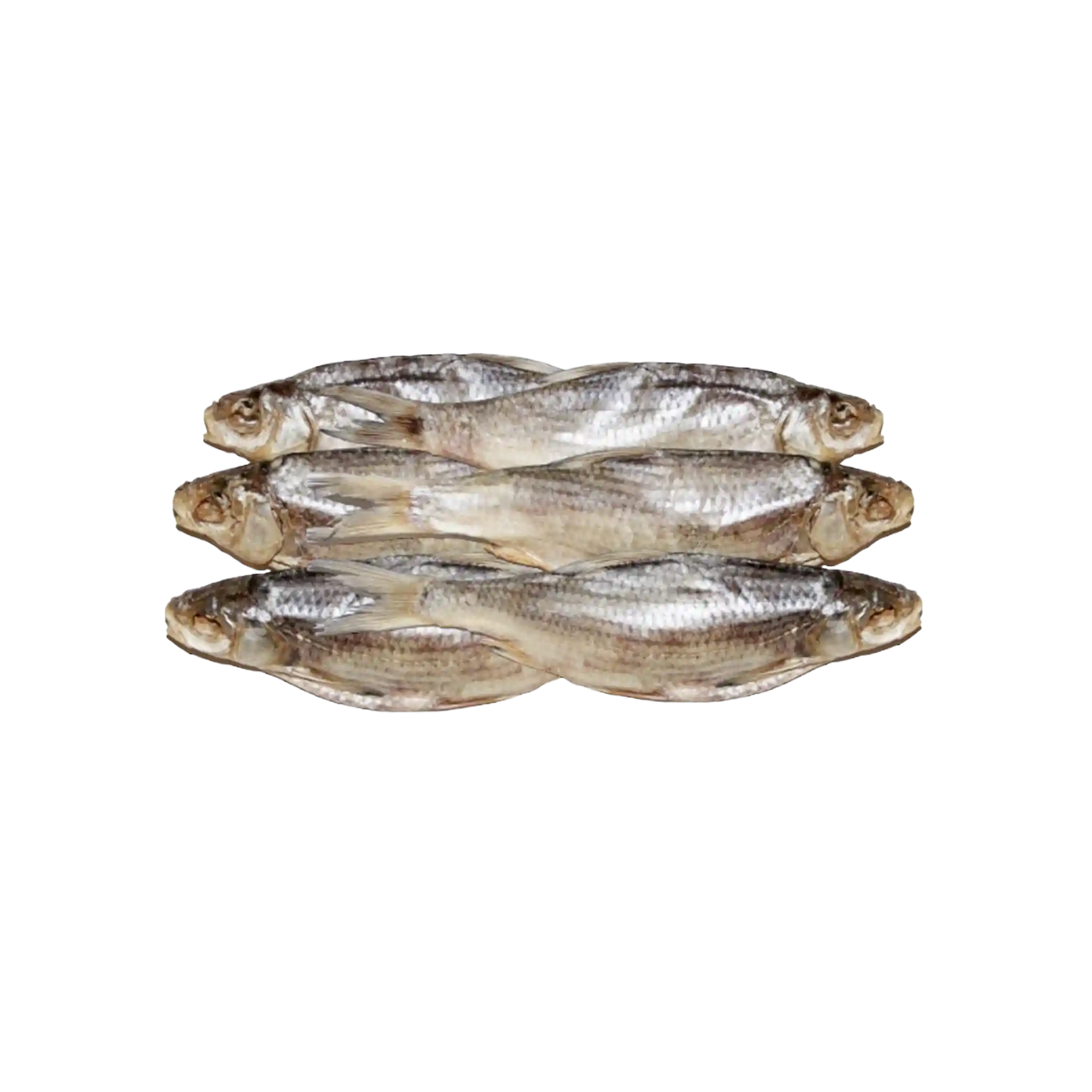 Mooijer (4379) Plotice solená a sušená, mražená (16+ cm) 1/8 kg