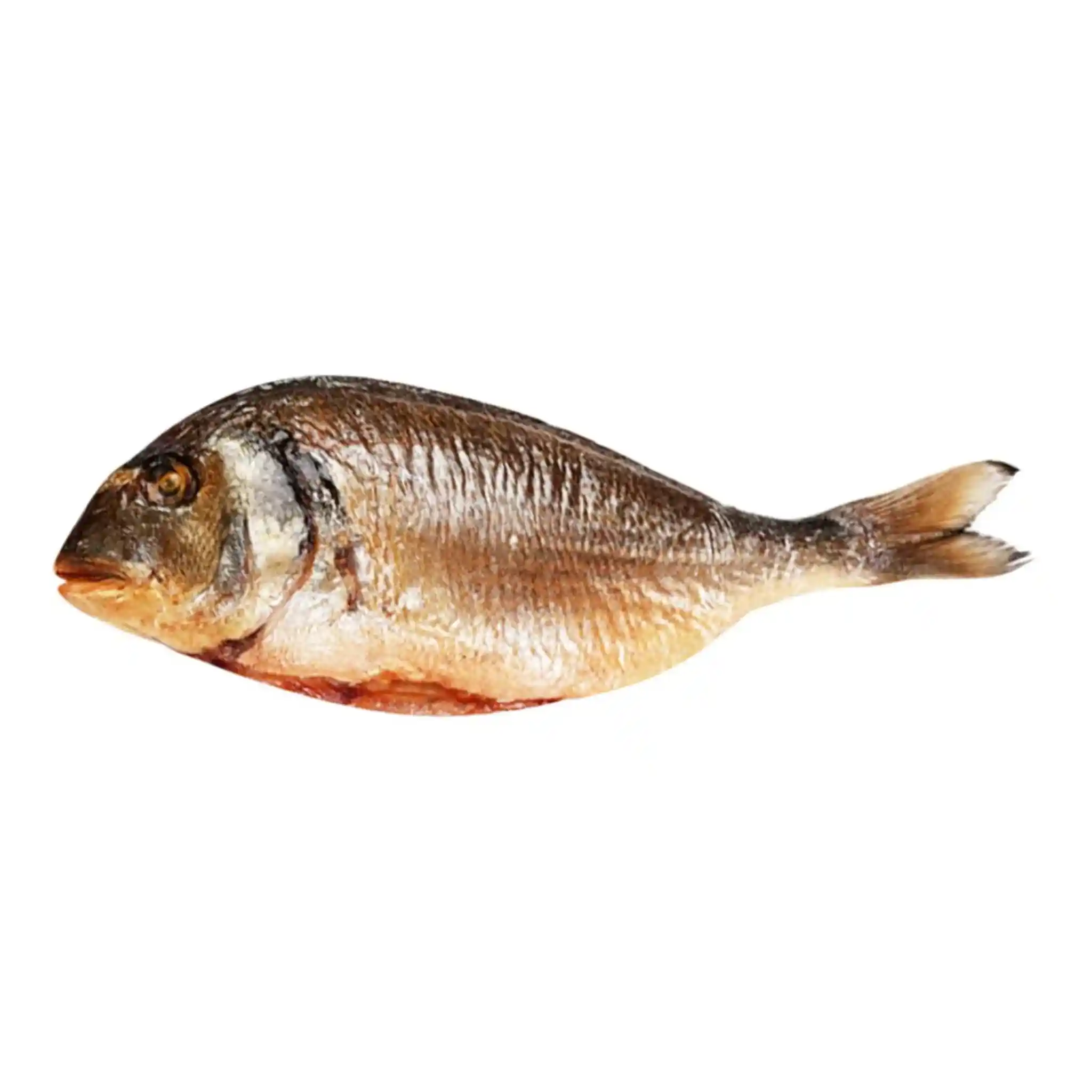 Lemberg  Dorada uzená za studena, 3 kg