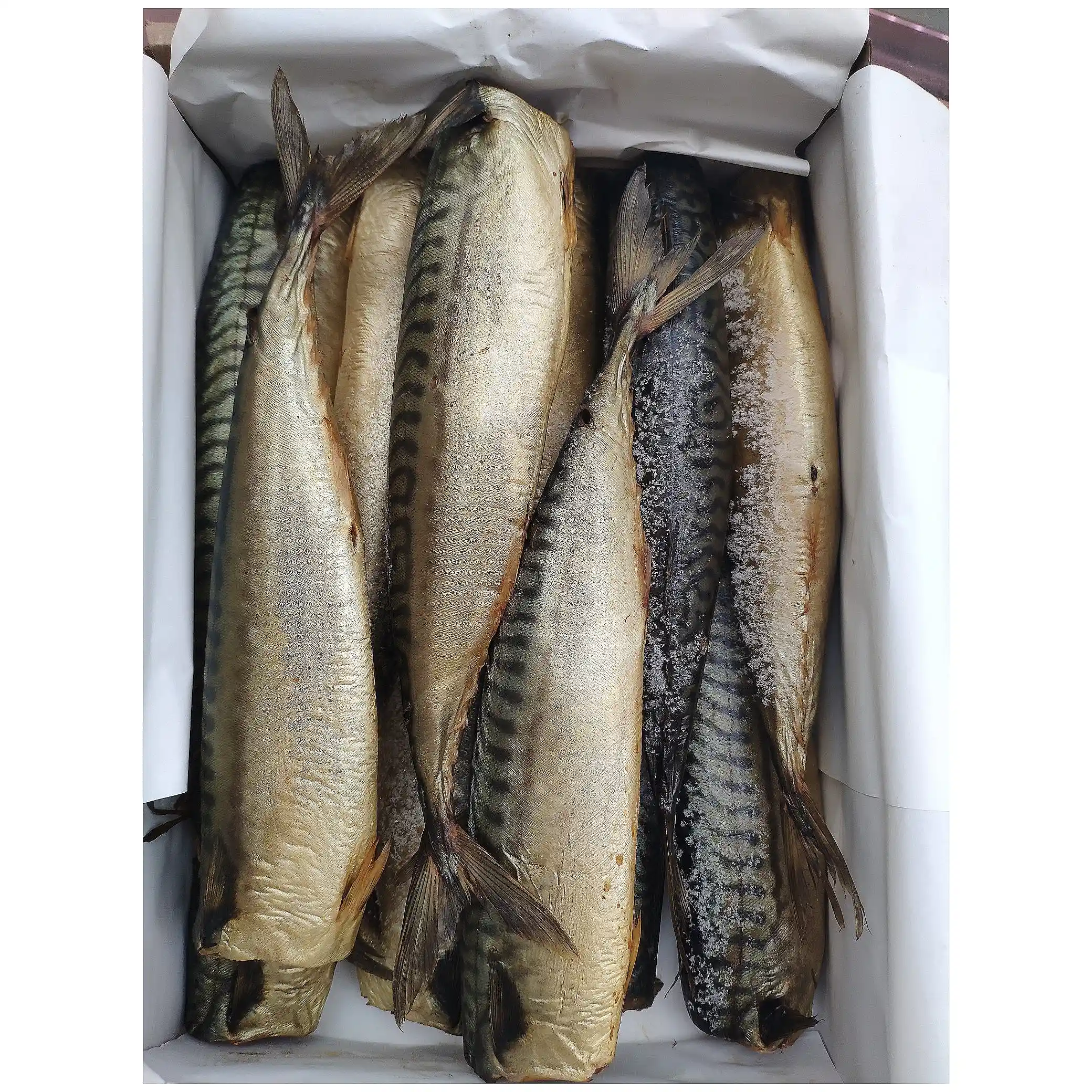 Posejdon Makrela uzená za studena 1kg/4kg