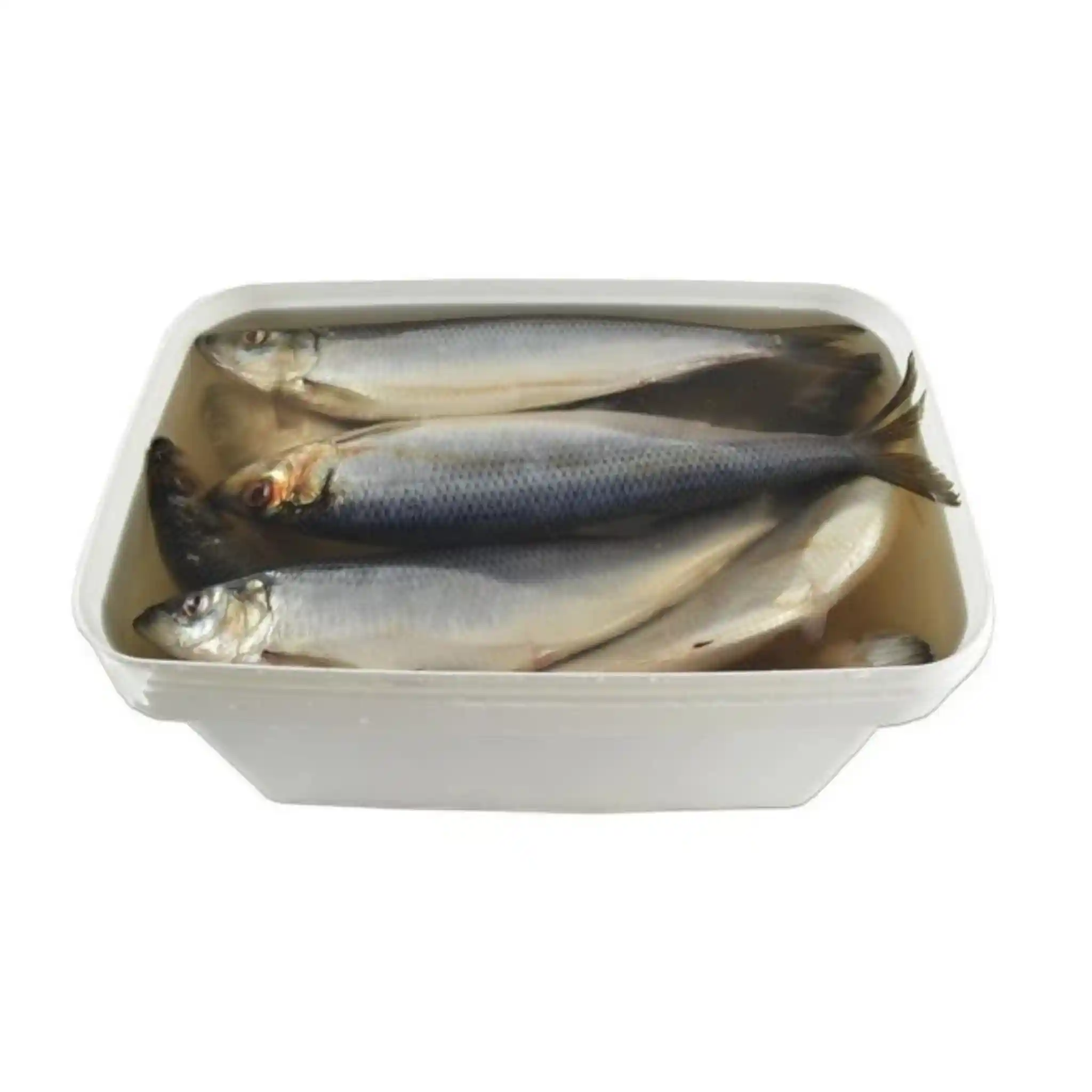 Shop Slěd  malosláný v nálevu, 7 kg/10 l