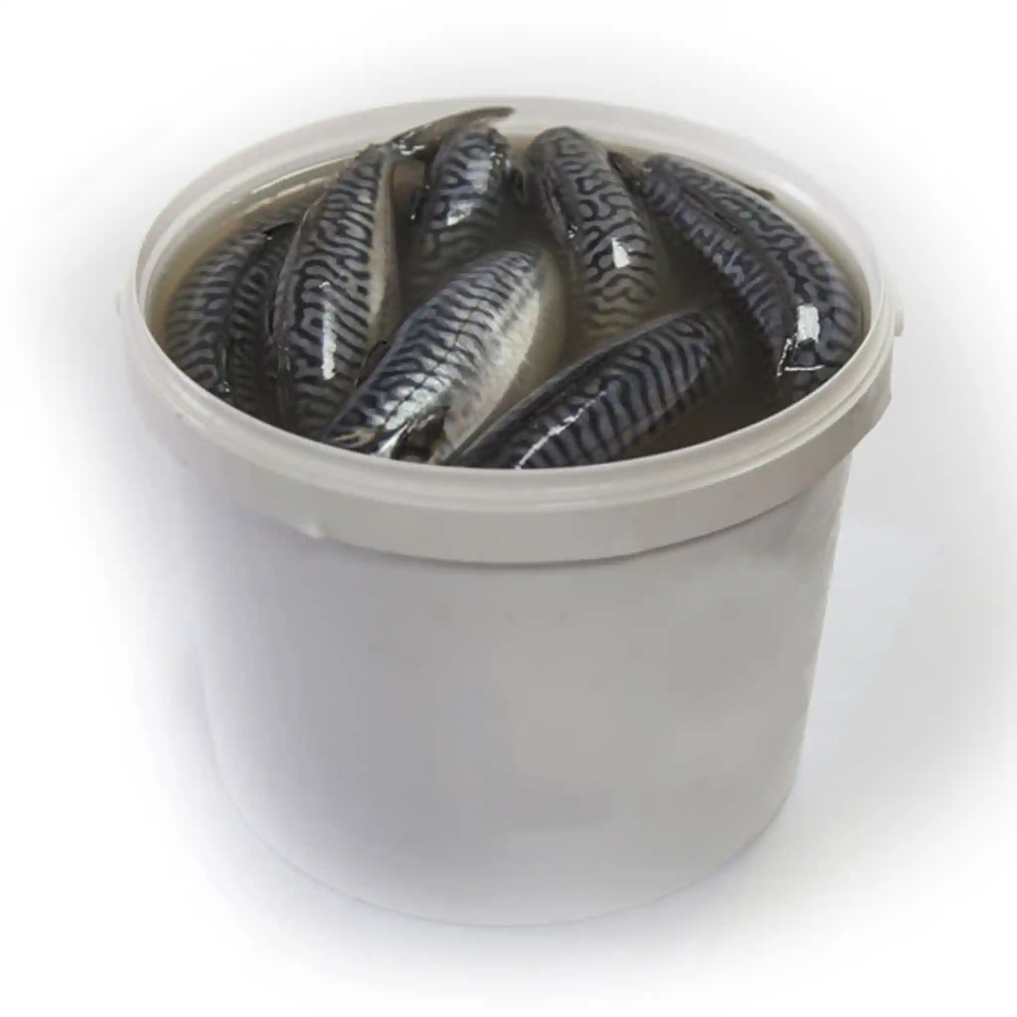 Shop Makrela bez hlavy v oleji, 6l/4kg