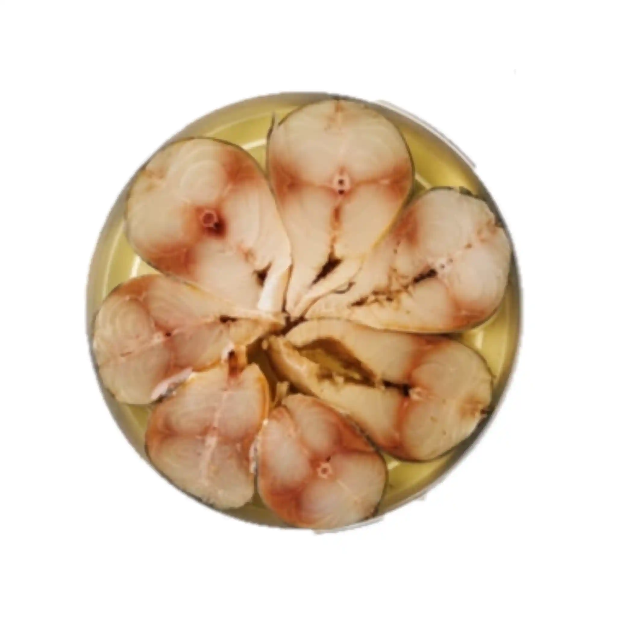 Shop Makrela kousky v oleji, 5l/3kg