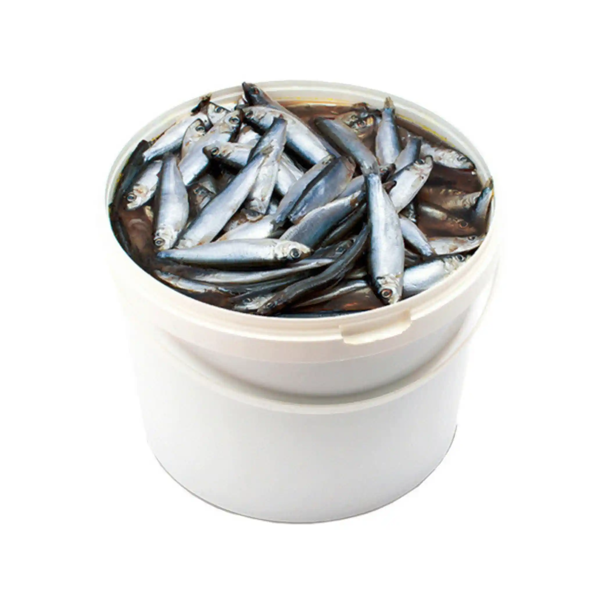 Shop Kilka (šproty) maloslaná v kořeněném nálevu,  4kg/6l