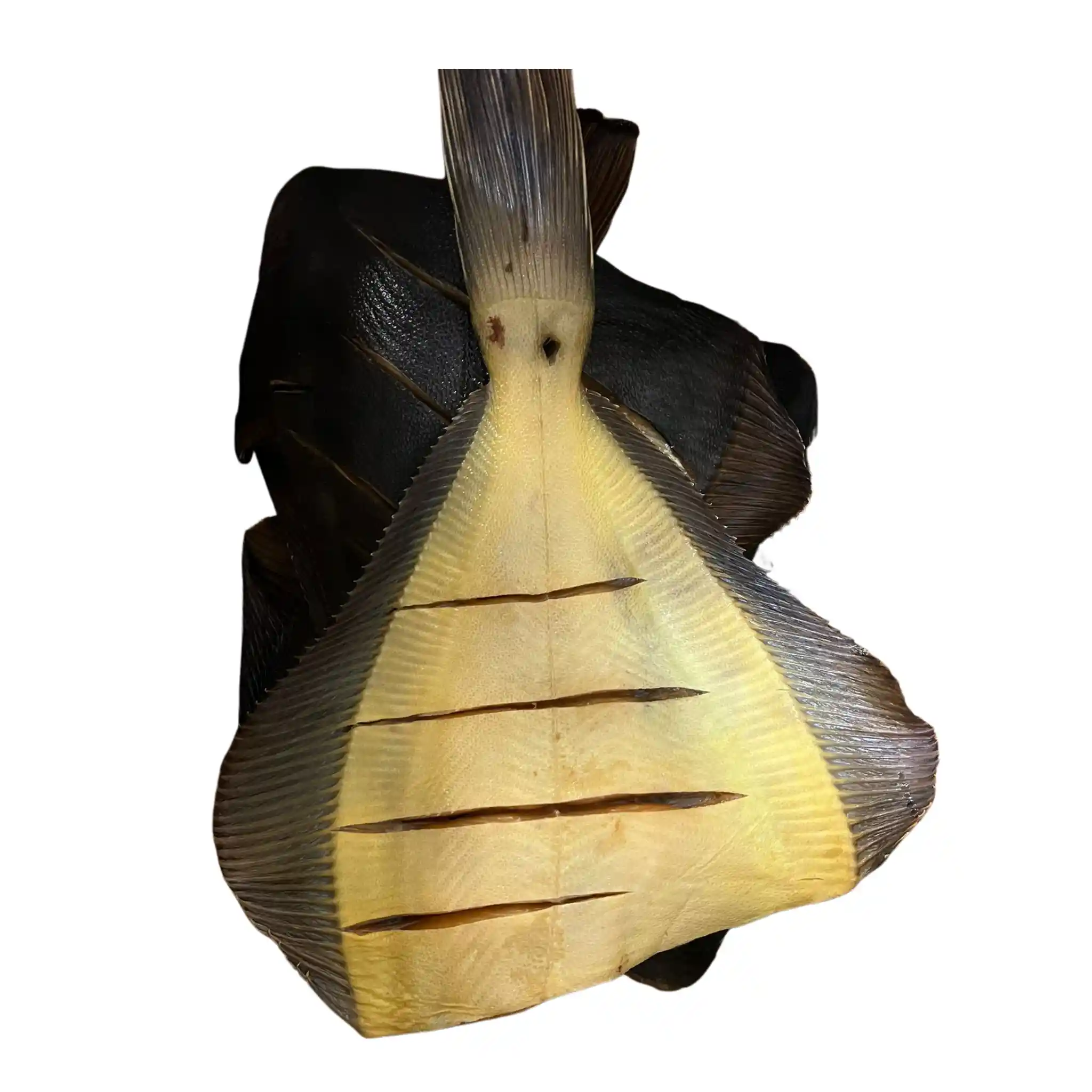 Shop Platýs (Kambala) uzený za studena, 2 kg