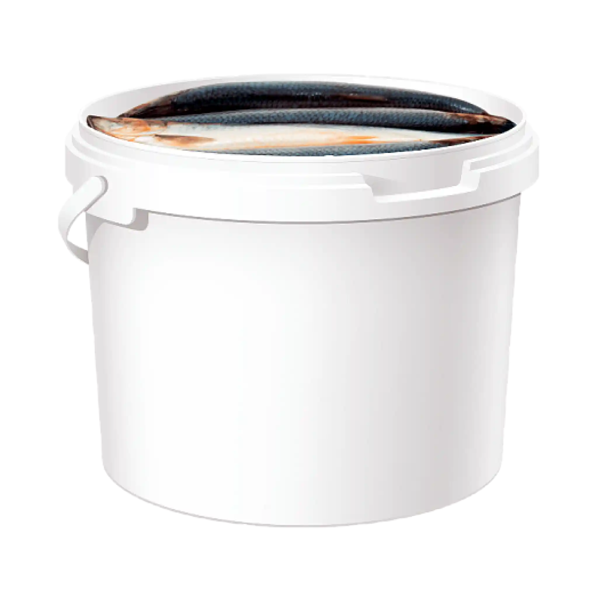 SB Sleď Atlantická "Bočkovaja (sudová)", 4kg