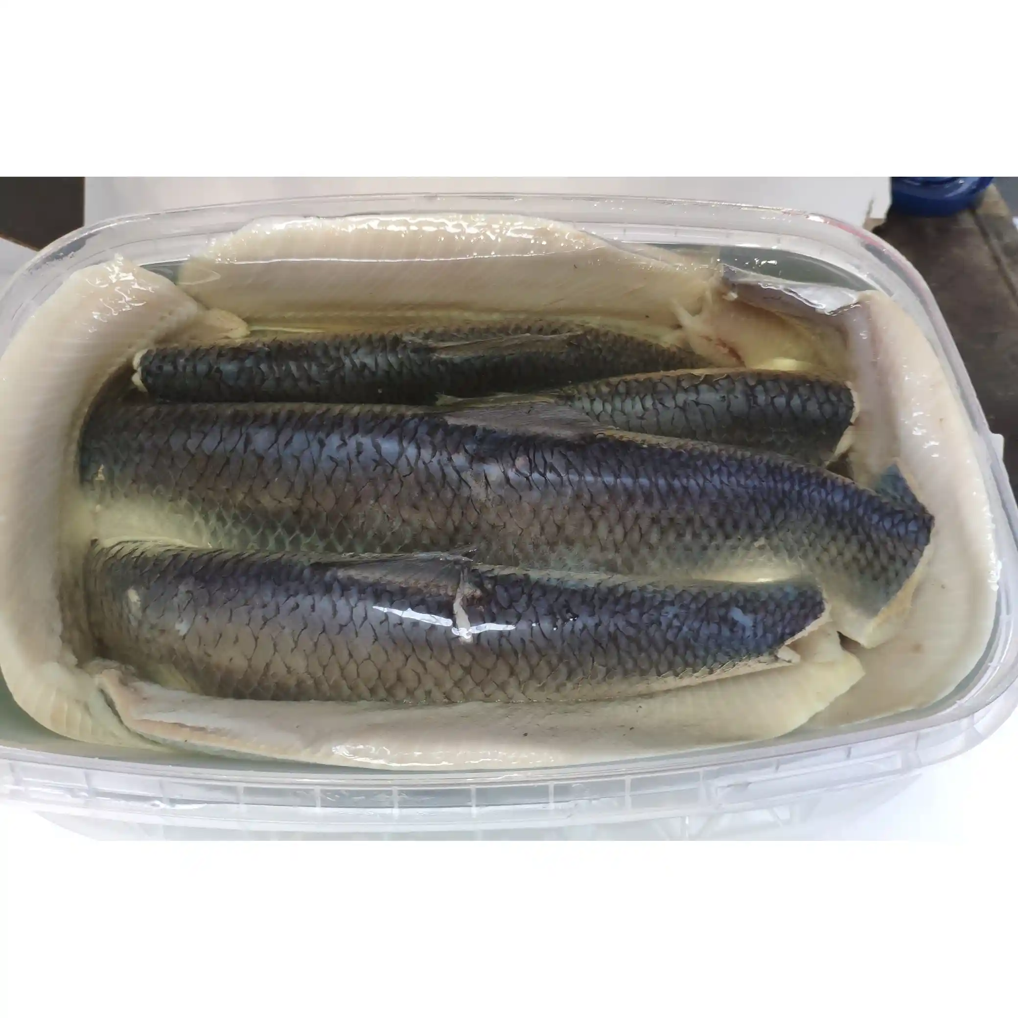 SoNa Sleďové filety v oleji, 2,1 kg (3,2 kg)