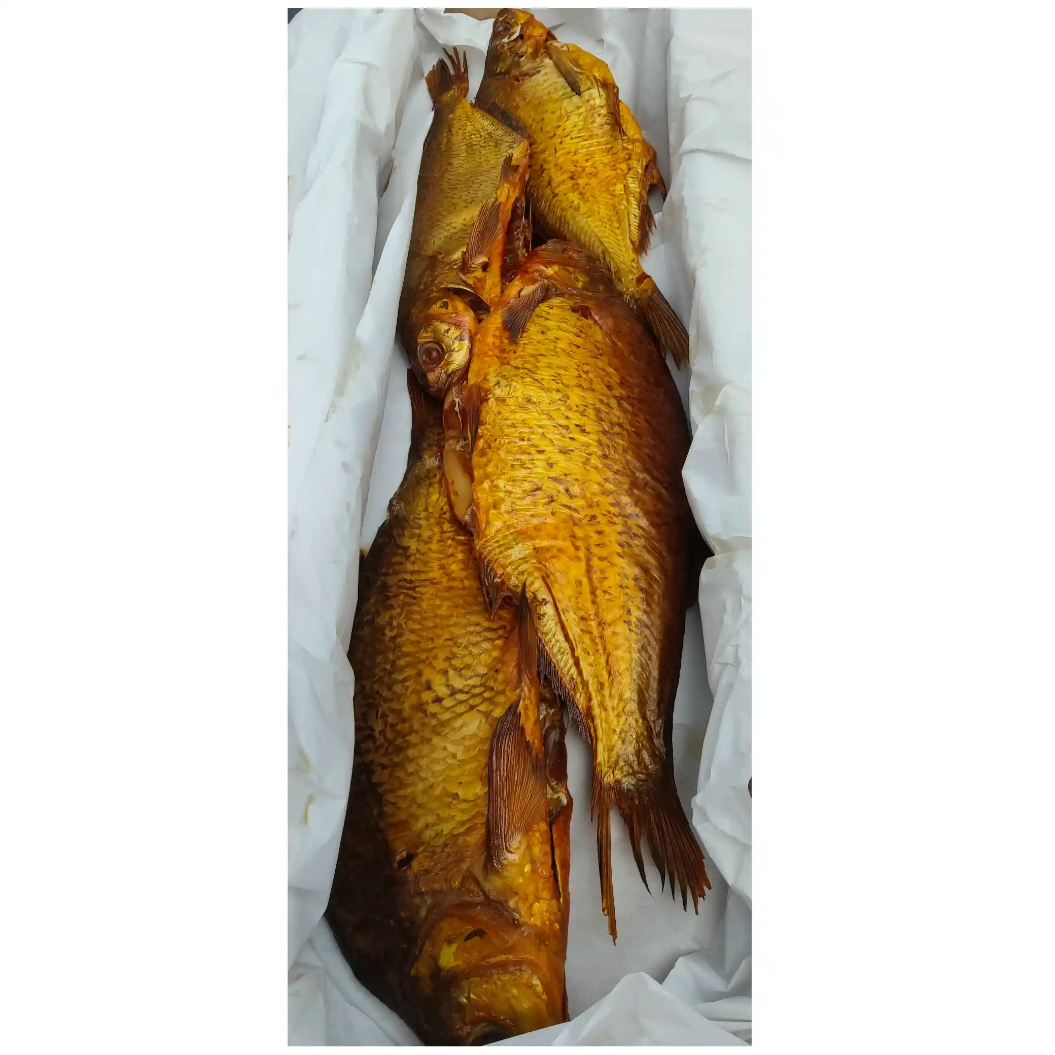 SoNa Cejn vykuchaný bez šupin, uzený za studena 1kg/4 kg