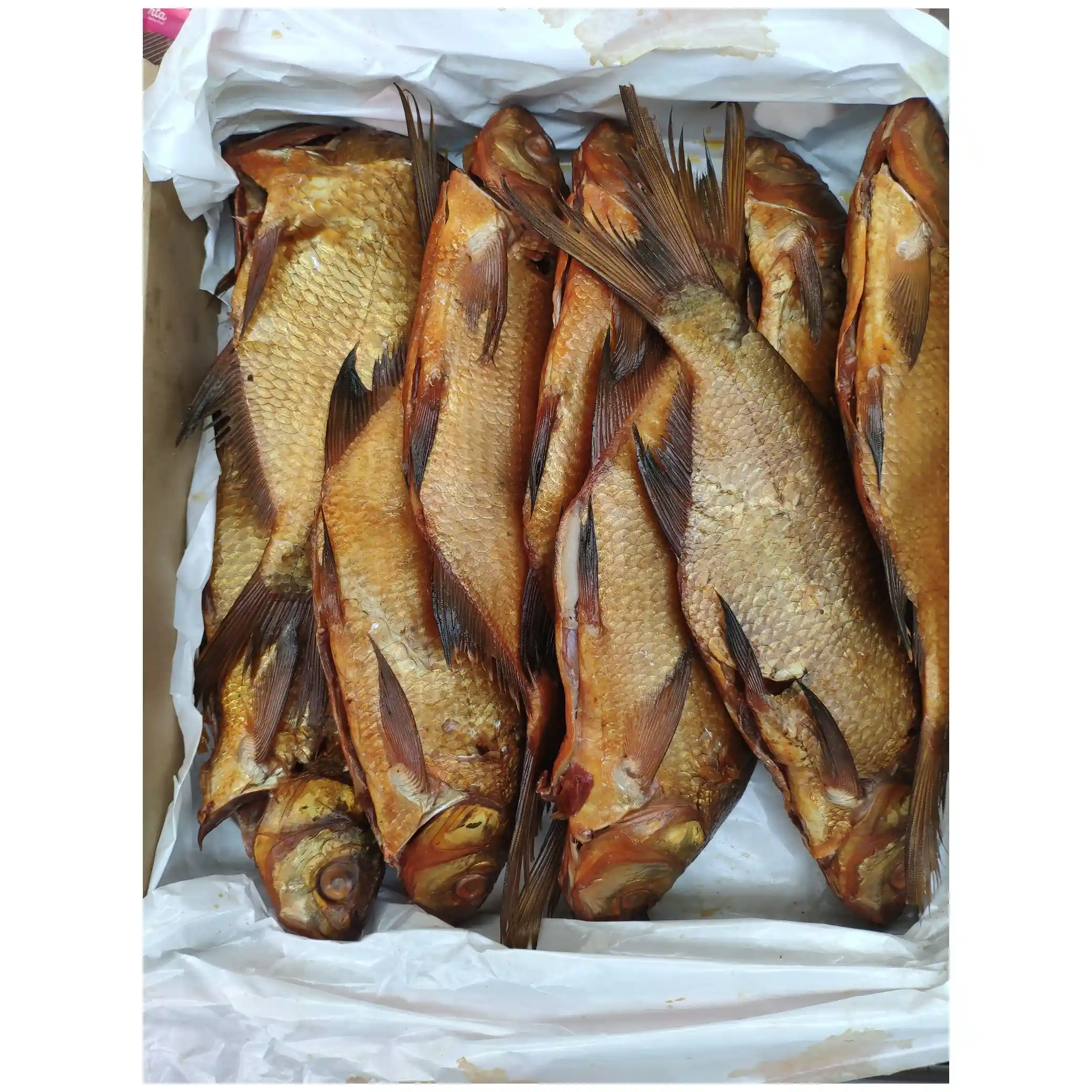 SoNa Cejn uzený za studena vykuchaný s šupinami, 1kg/4kg