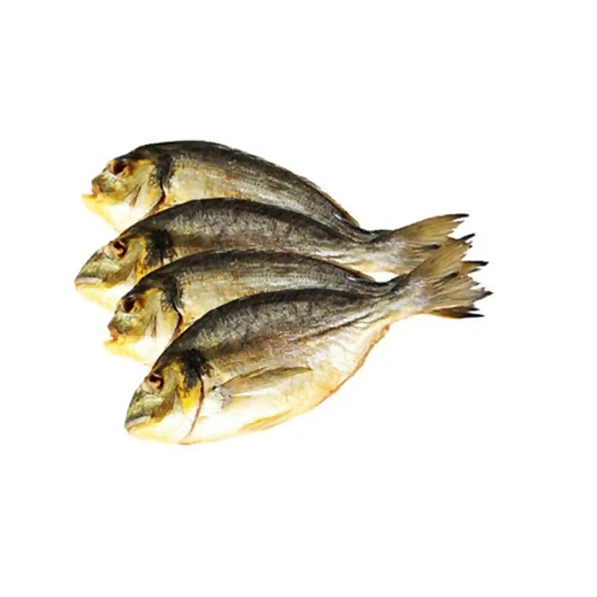 Schultheiss Dorada / mořský karas studeně uzený, ±4kg