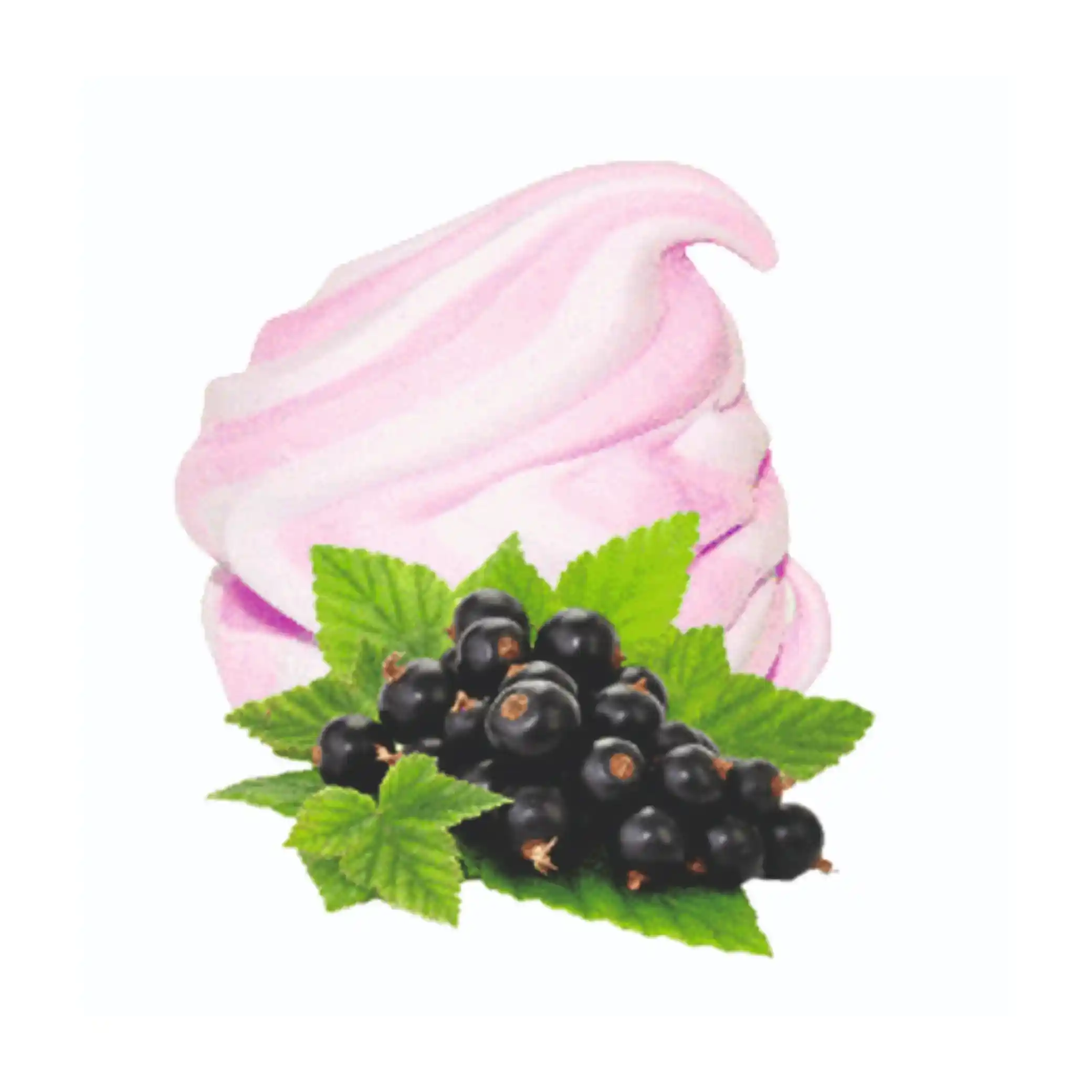 Romny Zefir „Delight“ s příchutí černého rybízu, 1000 g