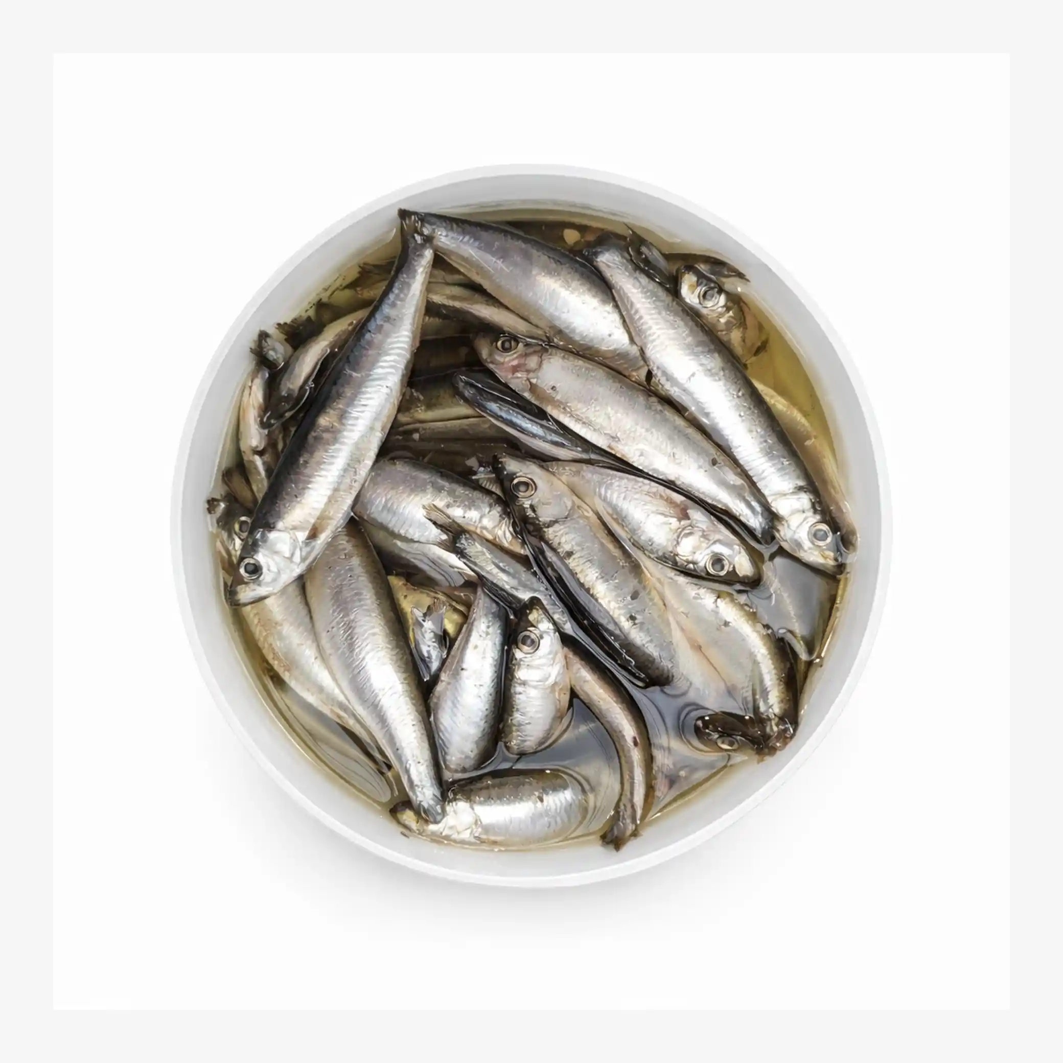 Lemberg Šproty (Sprattus), celé, v oleji, 2 kg