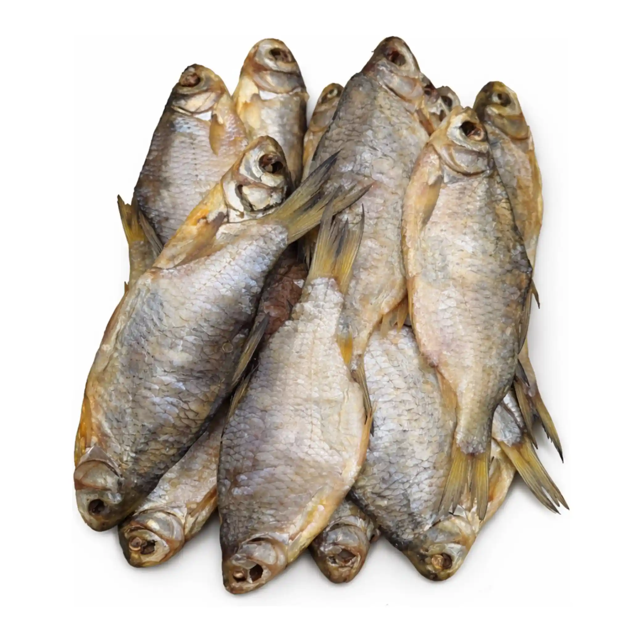 Shop Plotice XL sušená nekuchaná, 1kg/3 kg