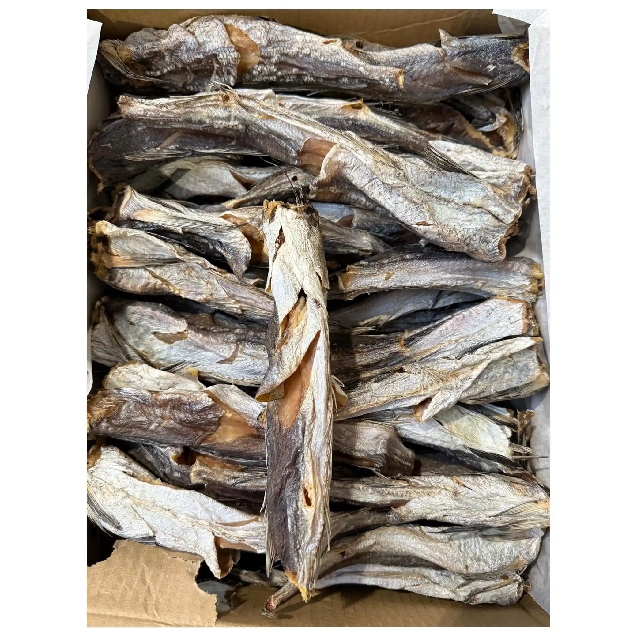 Mooijer (4348) Štikozubec bez hlavy, vykuchaný, sušený a solený 100 g+, 1kg/ 4ks