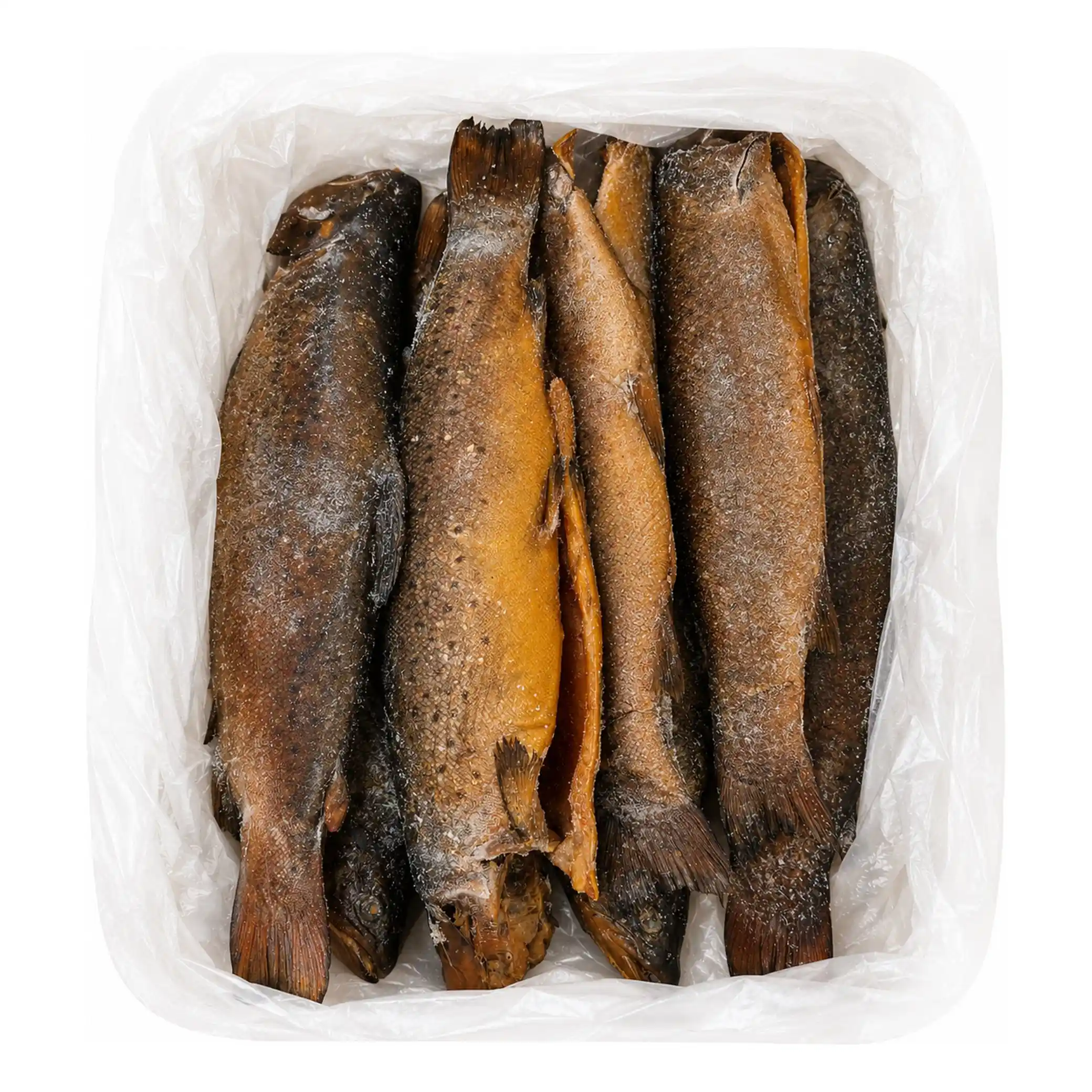 Shop Pstruh duhový bez hlavy uzený za studena, zmrazený, ±4,5kg