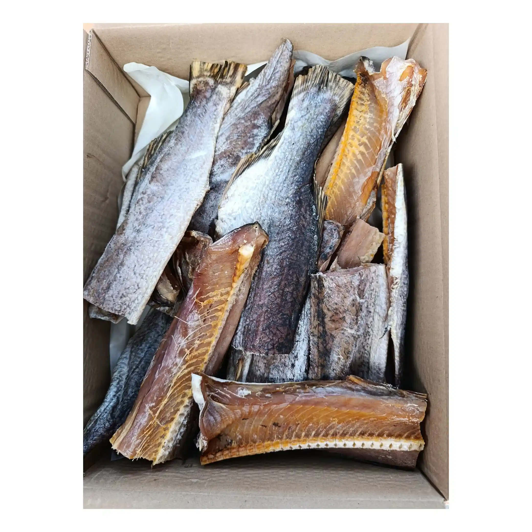 Shop Štikový plát sušený, 4kg