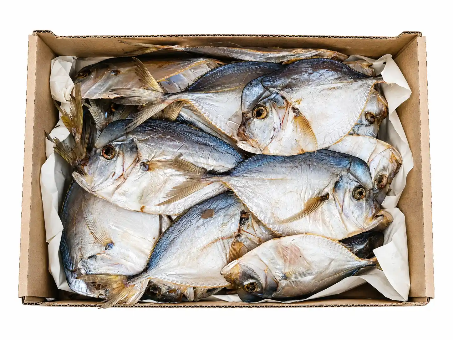 Shop Vomer sušený, 3kg