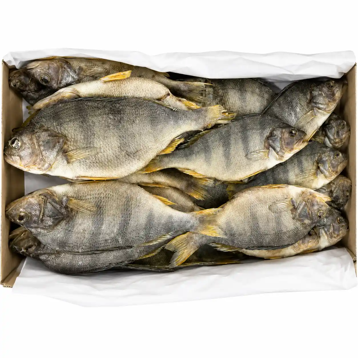 Mooijer (4139) Okoun sušený solený, velikost 16+, 5 kg