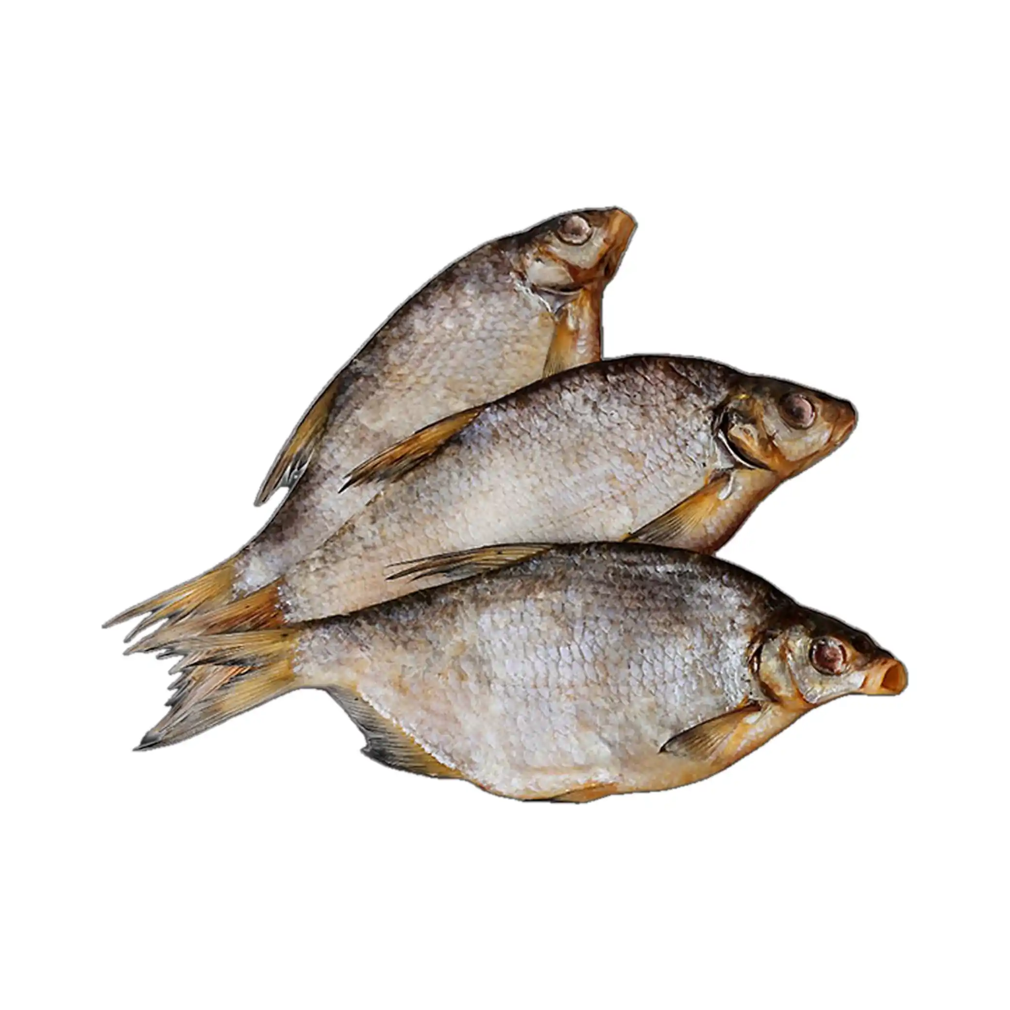 Shop Cejn kuchaný sušený 20+(R), 1kg/4 kg