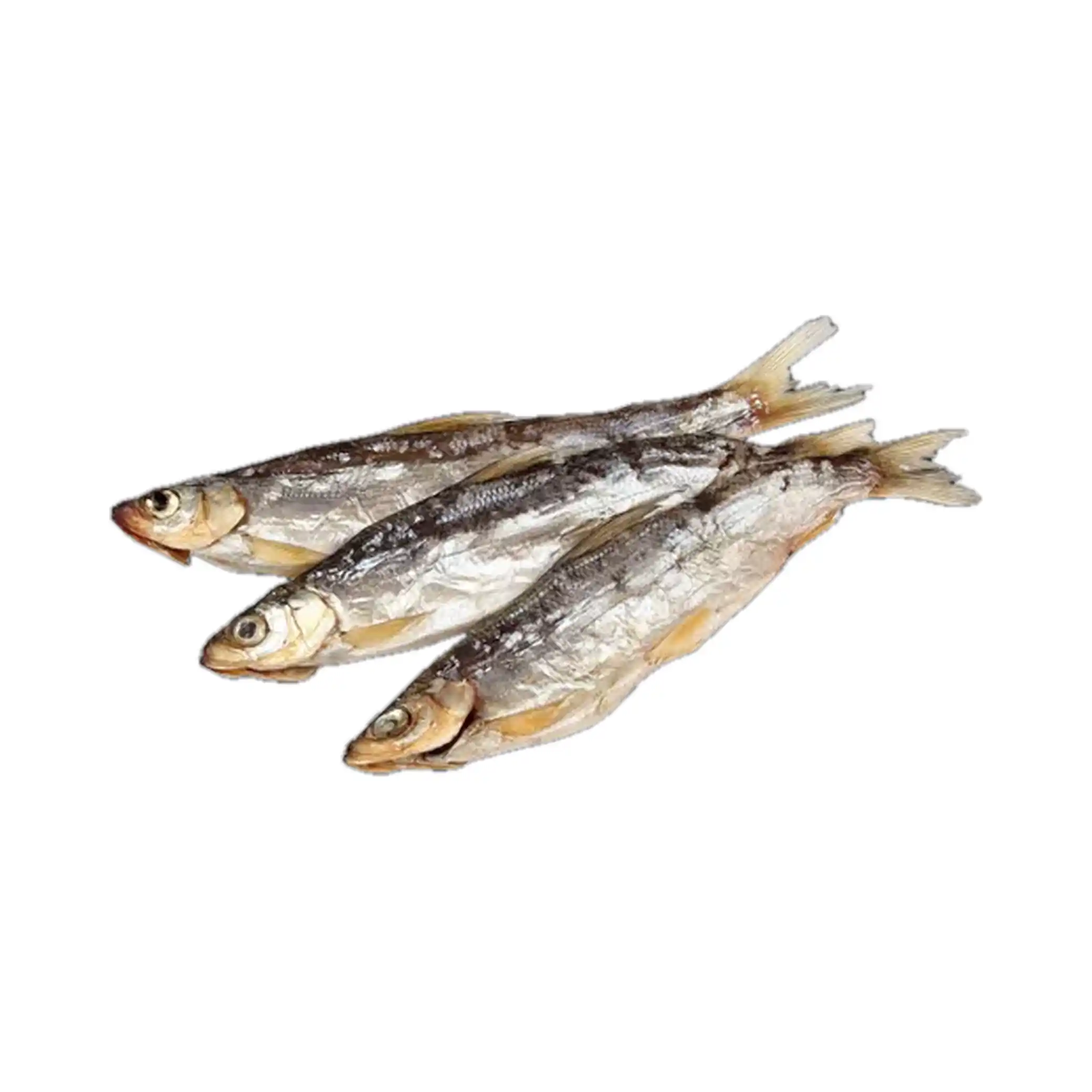 Oniors Repsis (síh malý) sušený, 3kg
