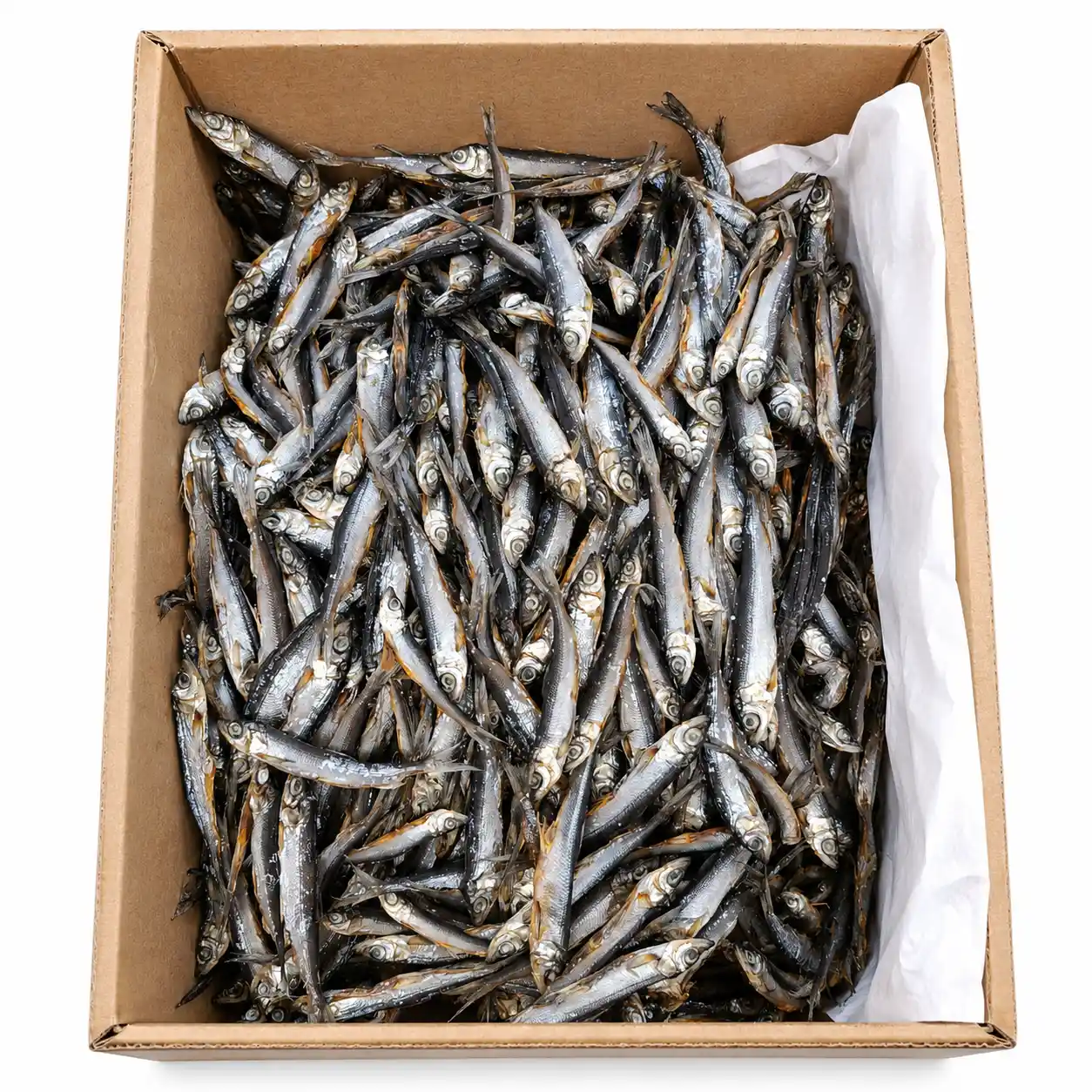 Oniors Repsis (síh malý) sušený, 3kg