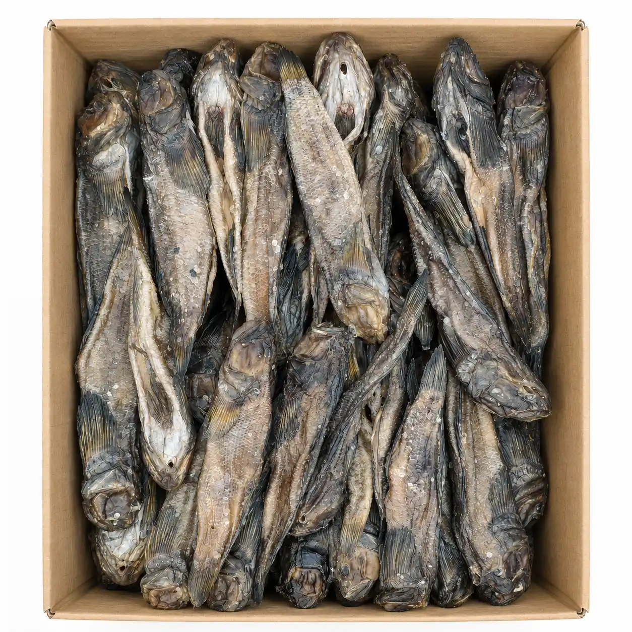 EFT Hlaváč černoústý sušený, 5 kg