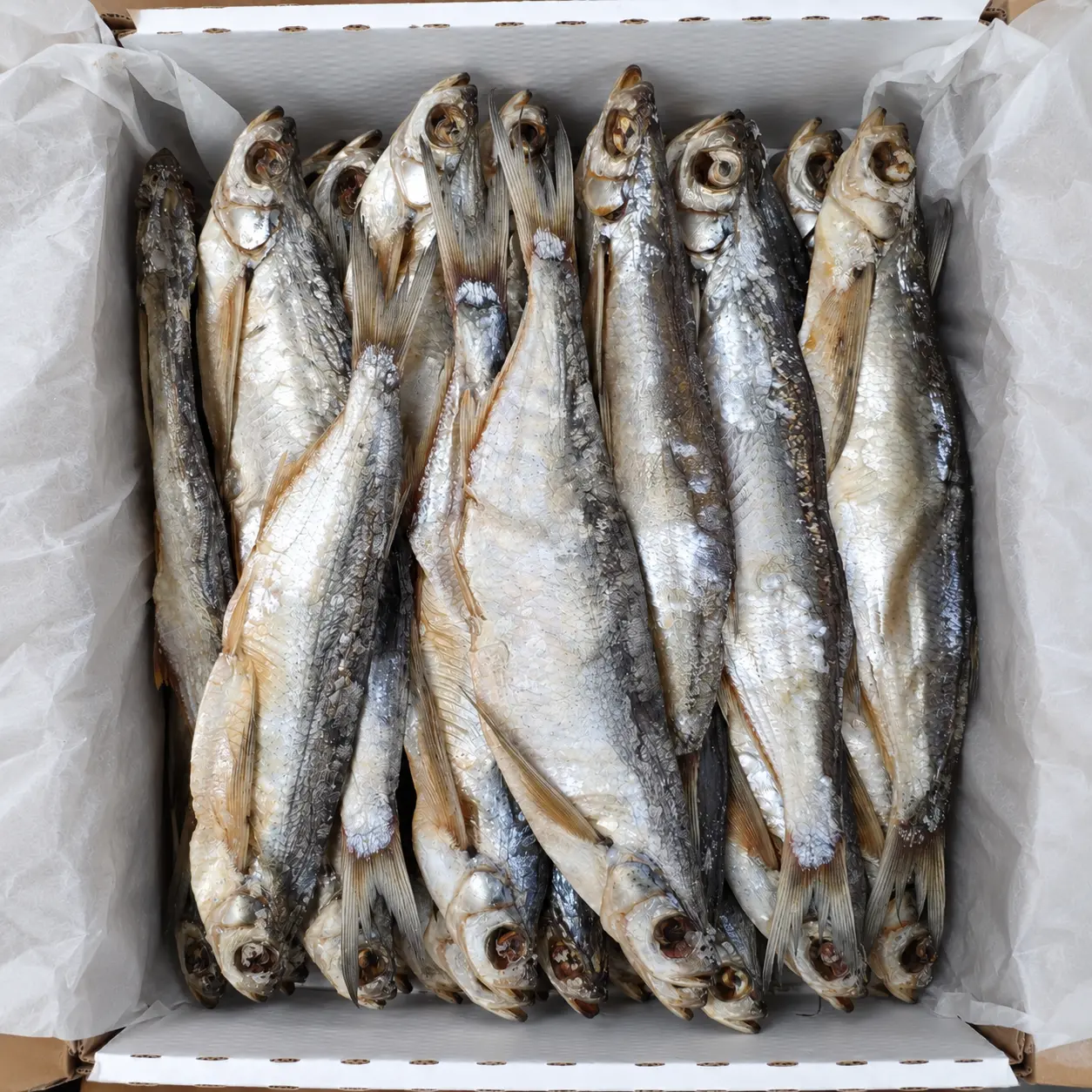 RB Ostrucha křivočará (čechon) sušená, 1 kg/5kg