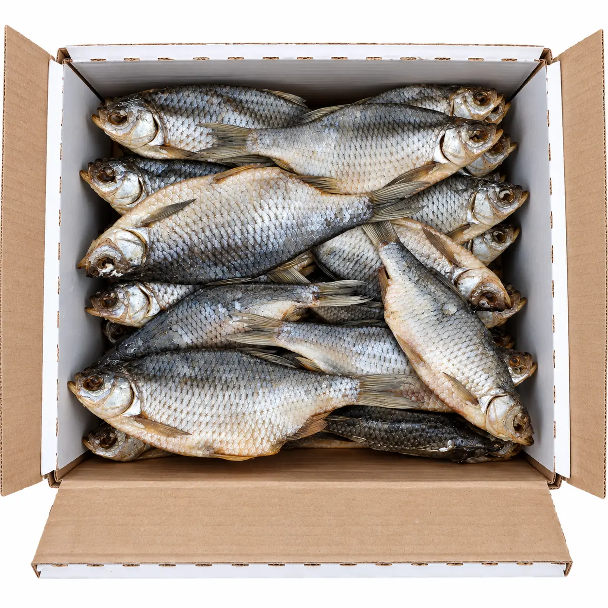 RB Krasnoperka solená sušená, 1 kg/5kg