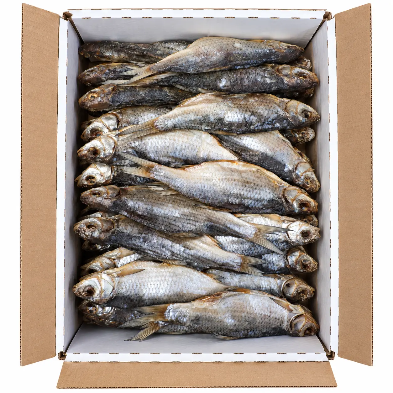 RB Vobla kaspická výběrová, 1 kg/5kg